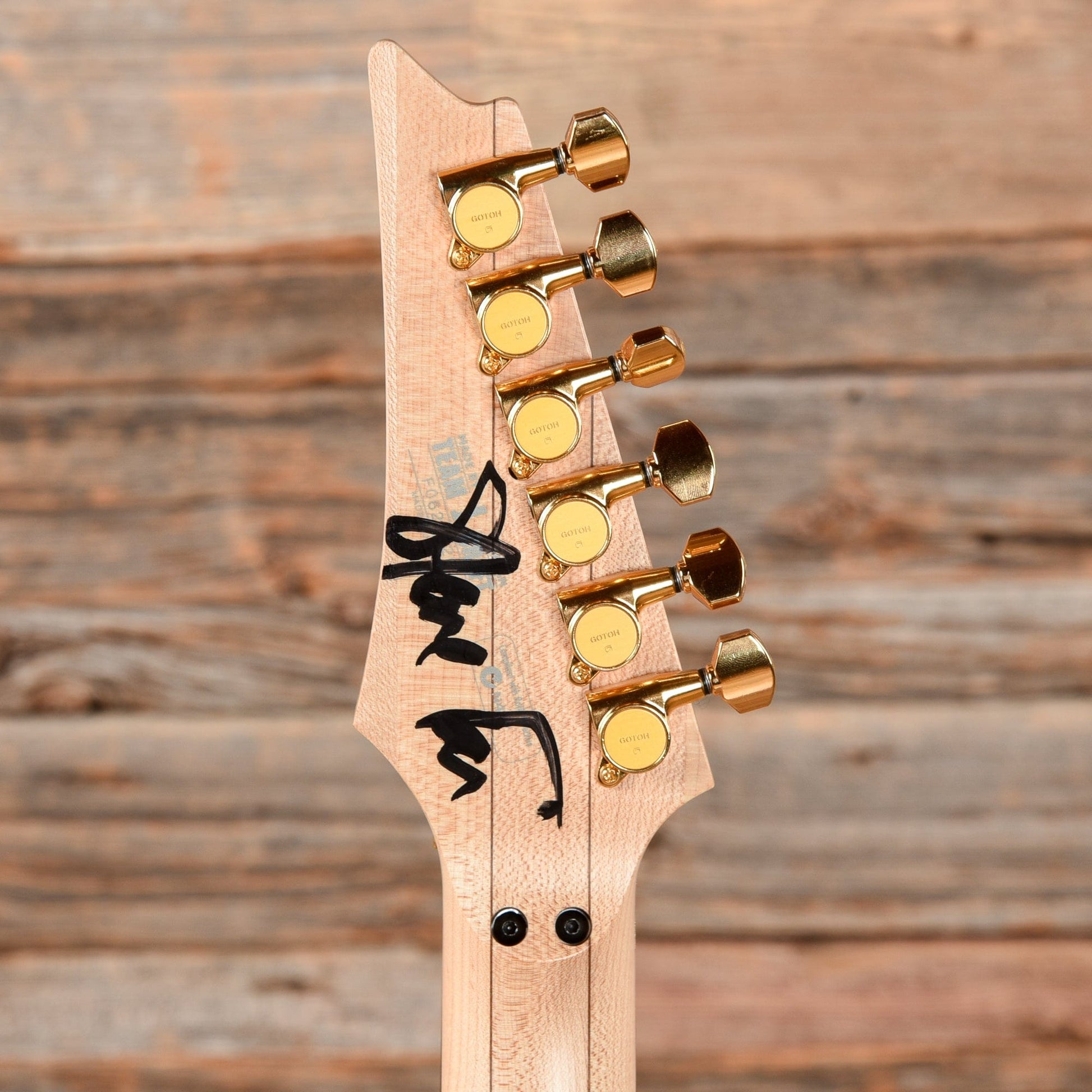 Ibanez Jem 7V White 2006