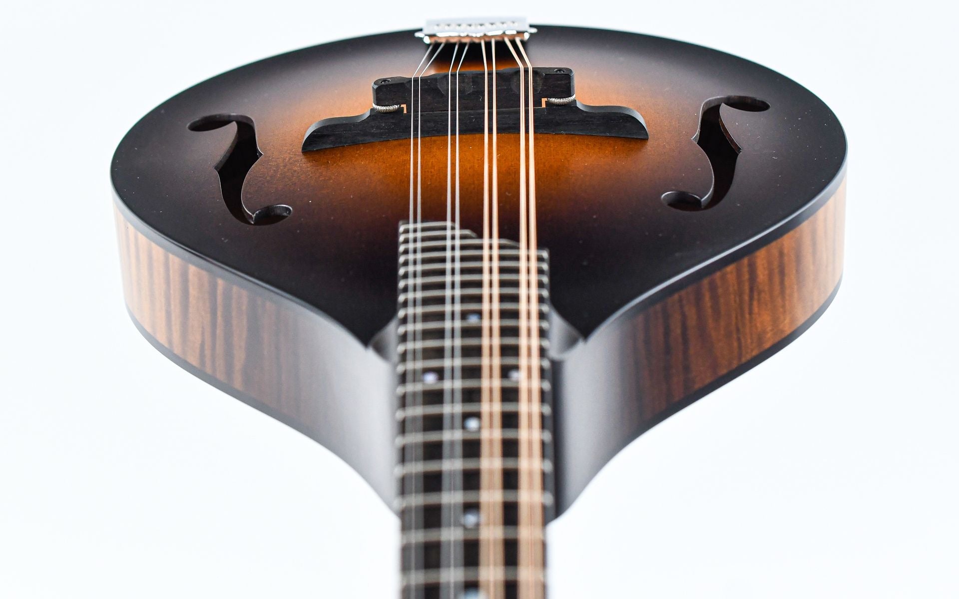 Collings MT Mandolin