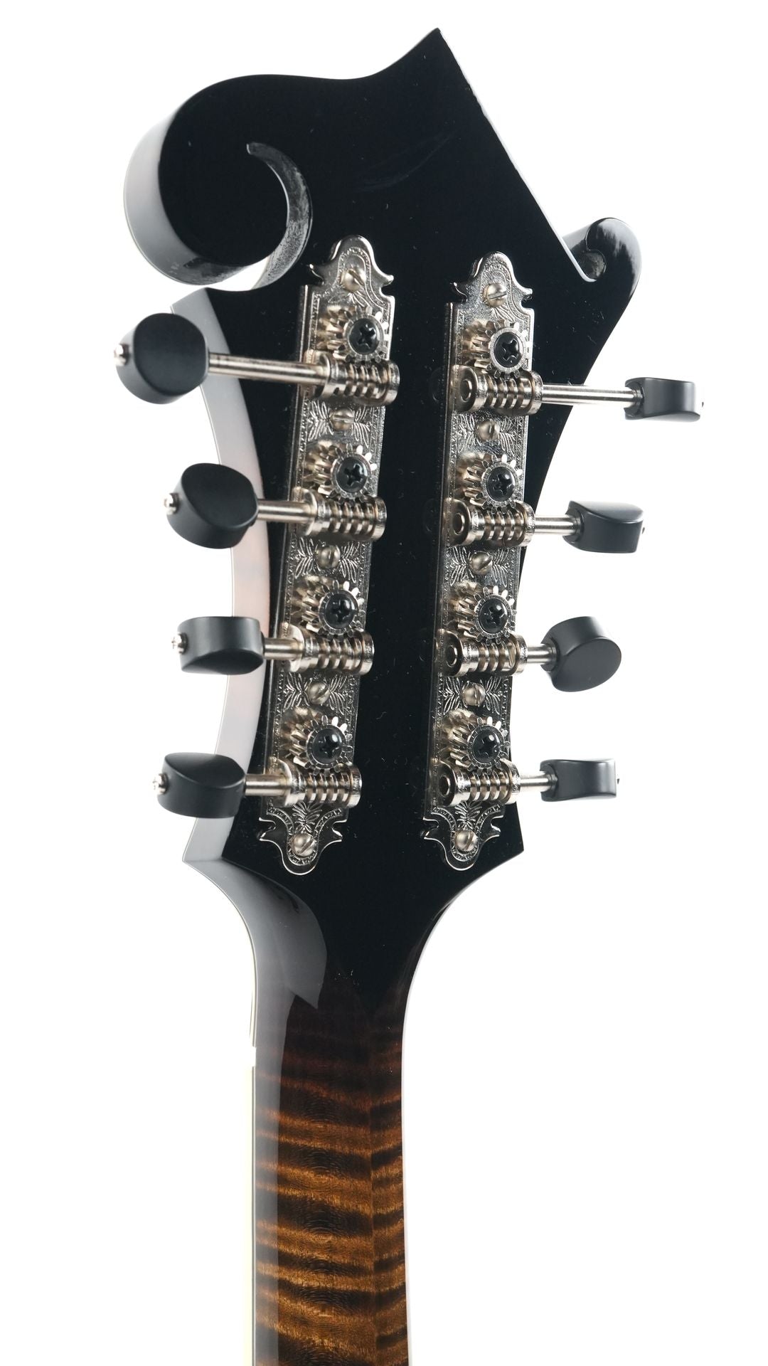 Northfield NFB F5E Big Mon Engelmann Standard Sunburst