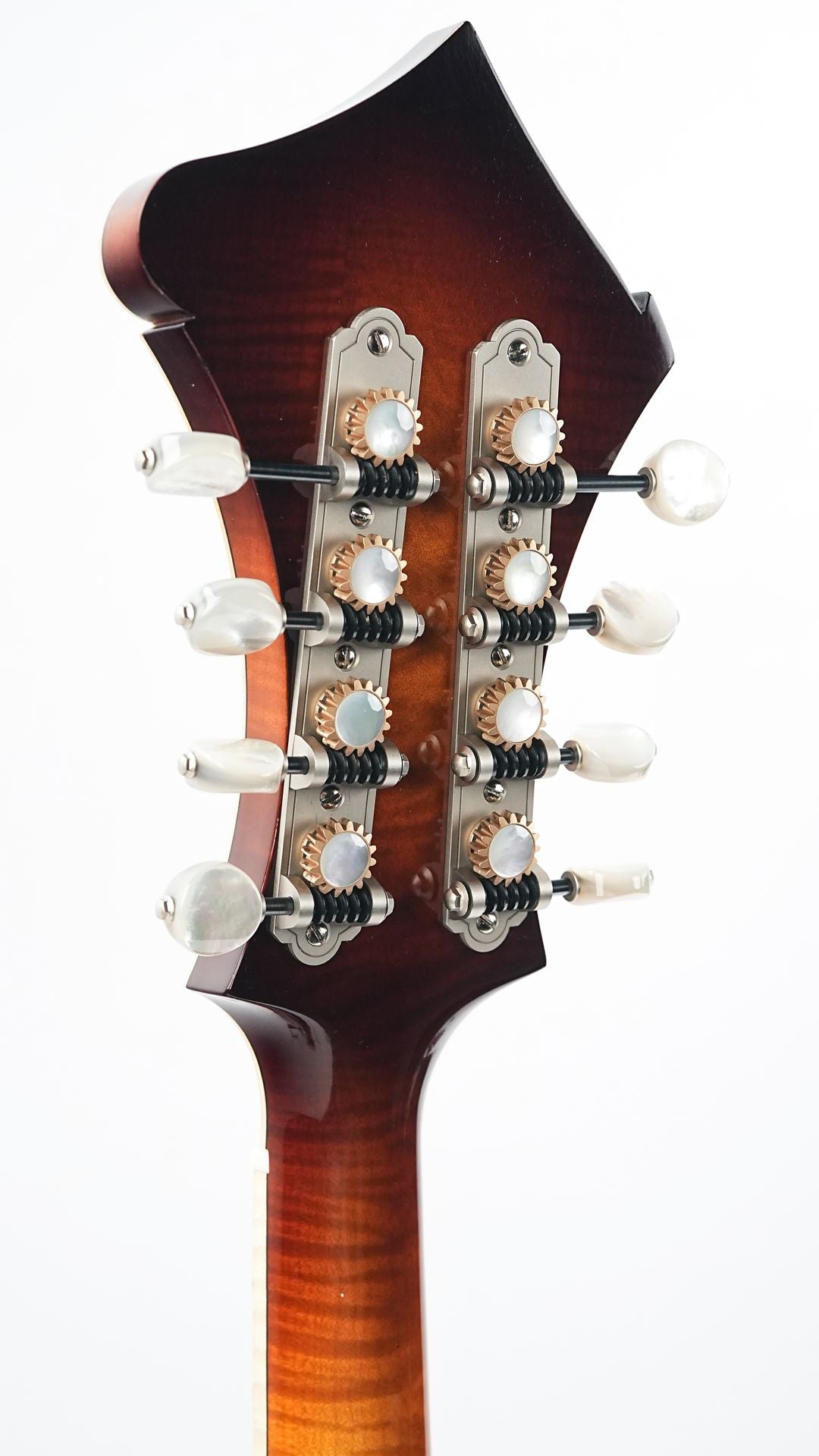 Bulas F-Style Persephone