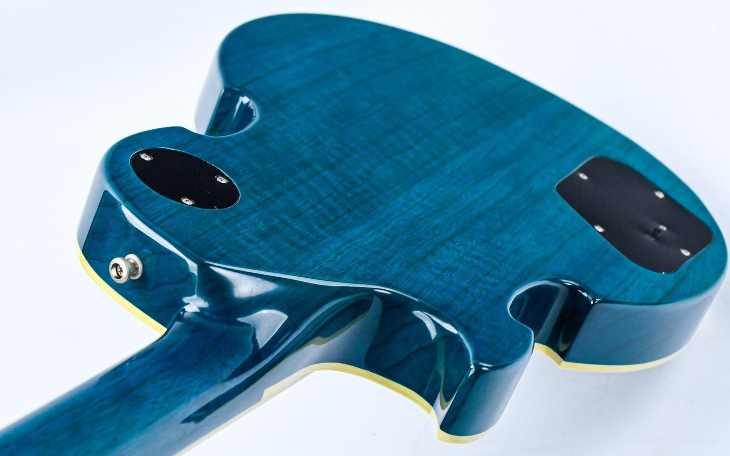Dommenget Lizard Hybrid Blueburst 1998