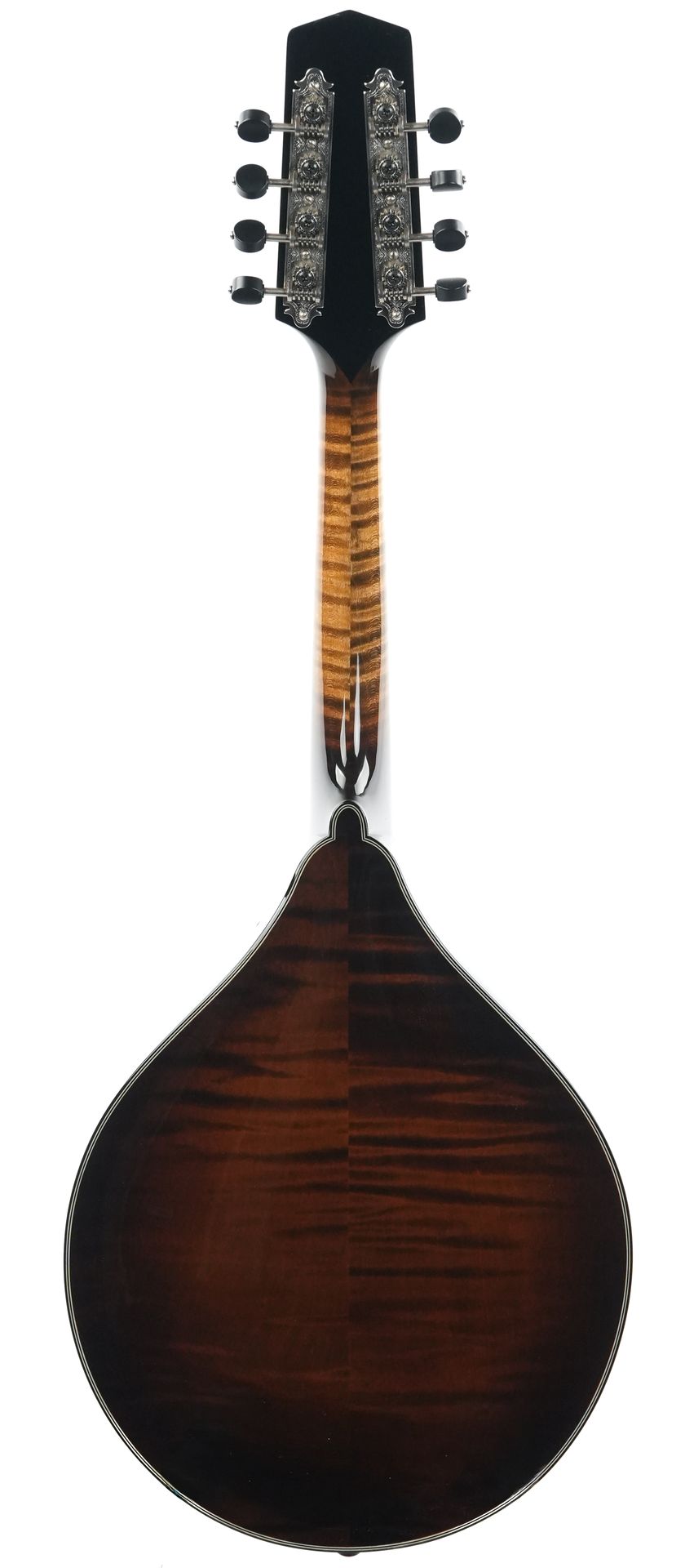 Northfield NFMSP A4 Special Alpine Spruce Icelandic Brown