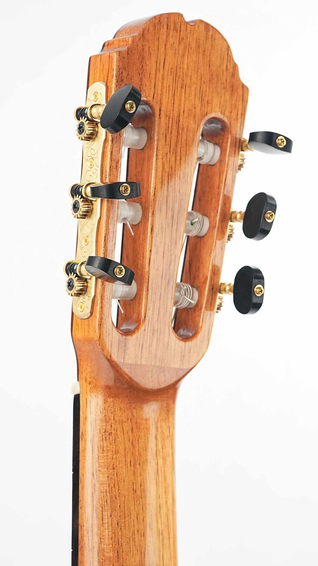Mach Concert Double Top Spruce Rosewood