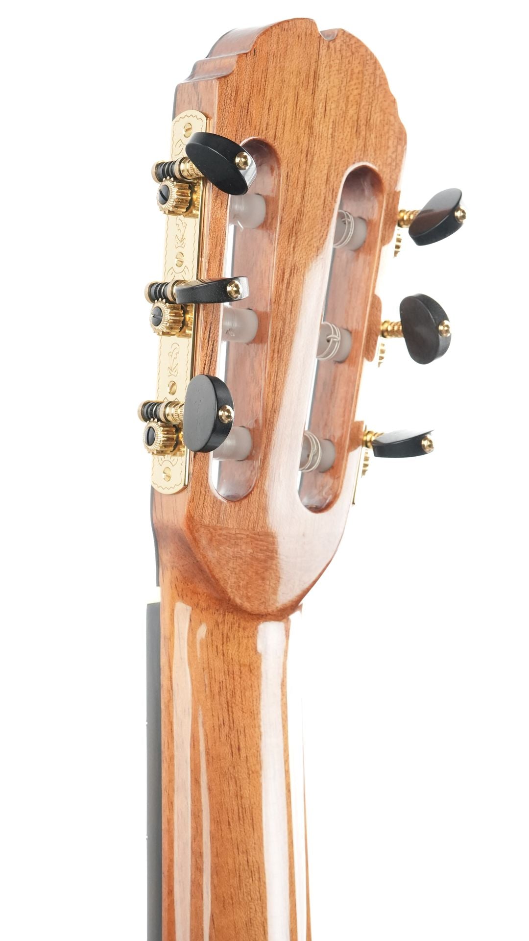 Mach Concert Standard Spruce Rosewood