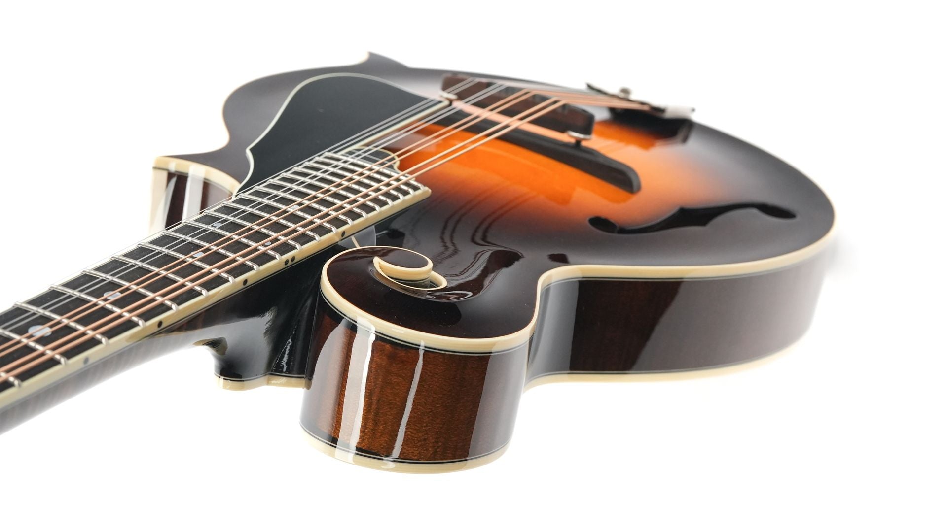 Northfield NFB F5E Big Mon Engelmann Standard Sunburst