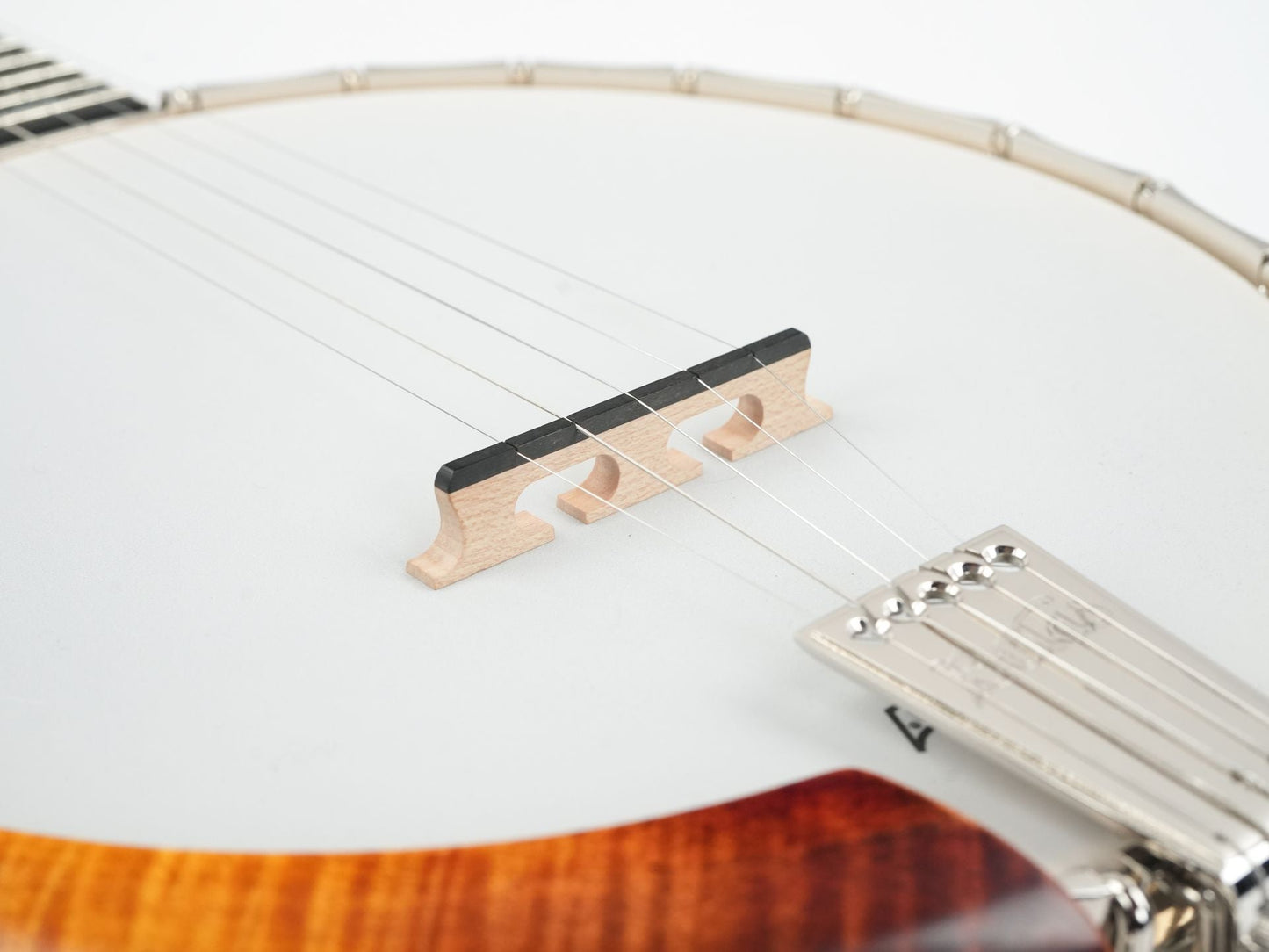 Bulas Echo Valley Resonator Banjo