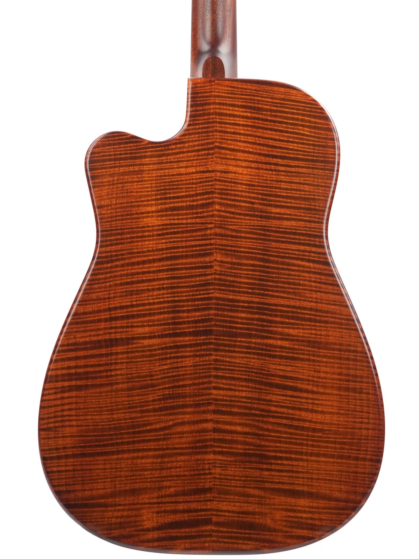 Beard Trailhead E RN Curly Maple #1988-25