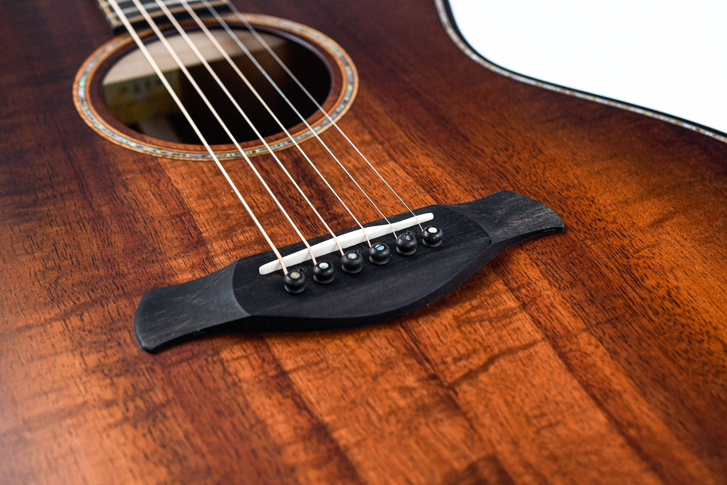 Taylor K24ce Builder's Edition