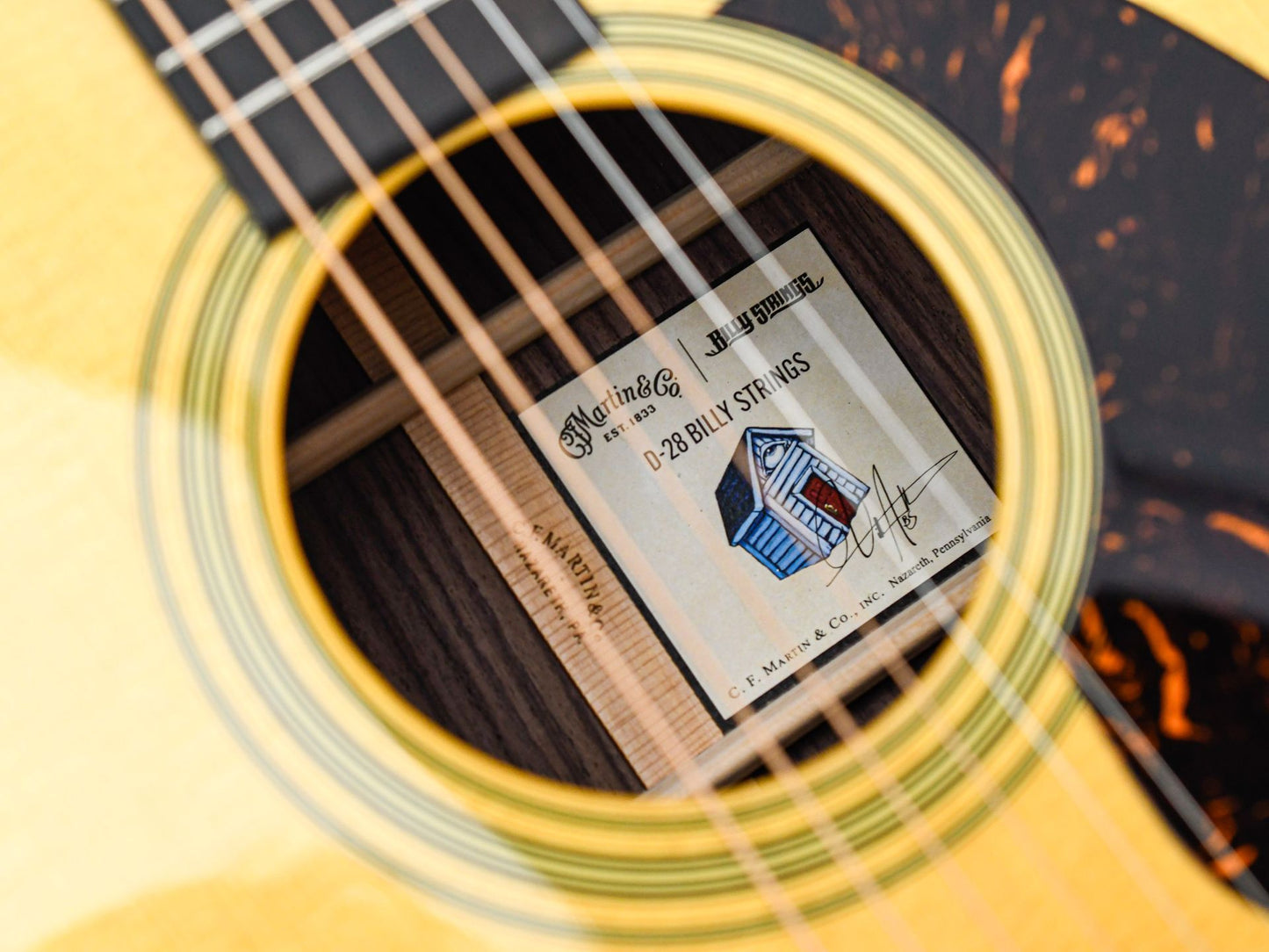 Martin D28 Billy Strings