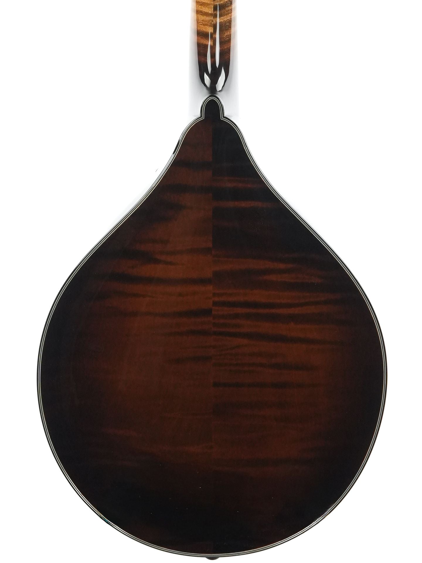 Northfield NFMSP A4 Special Alpine Spruce Icelandic Brown