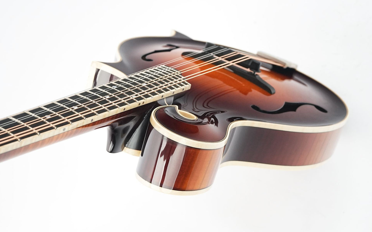 Bulas F-Style Persephone
