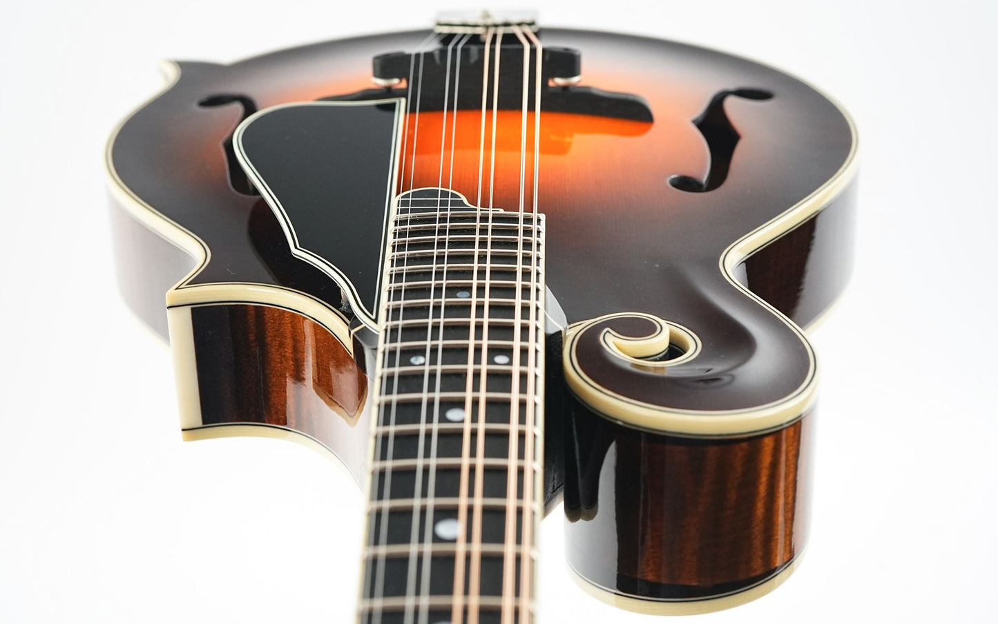 Northfield NFAF51I Italian Spruce Maple