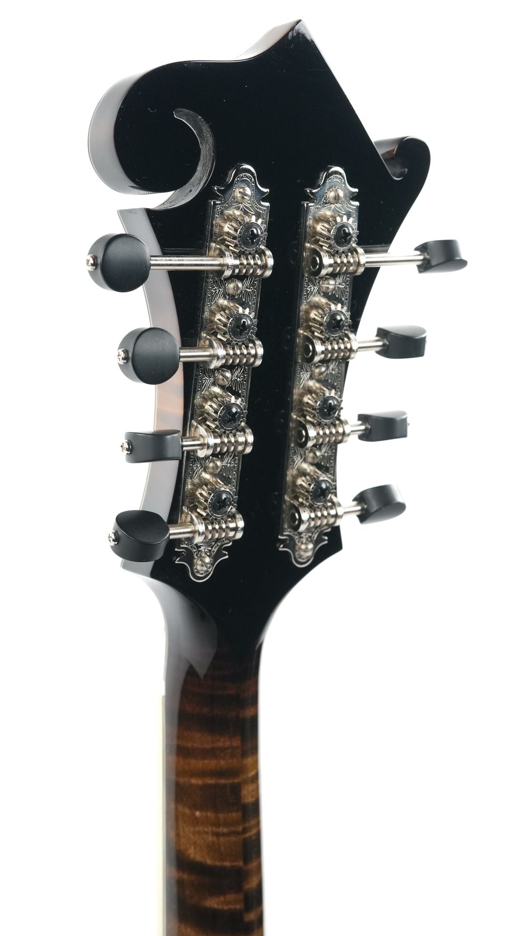 Northfield NFB F5A Big Mon Adirondack Standard Sunburst