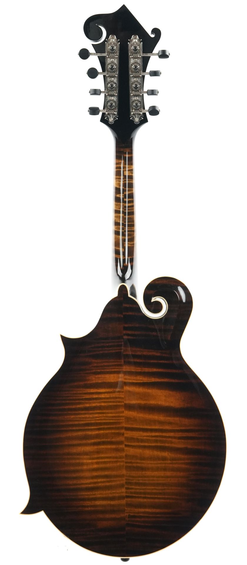 Northfield NFB F5A Big Mon Adirondack Standard Sunburst