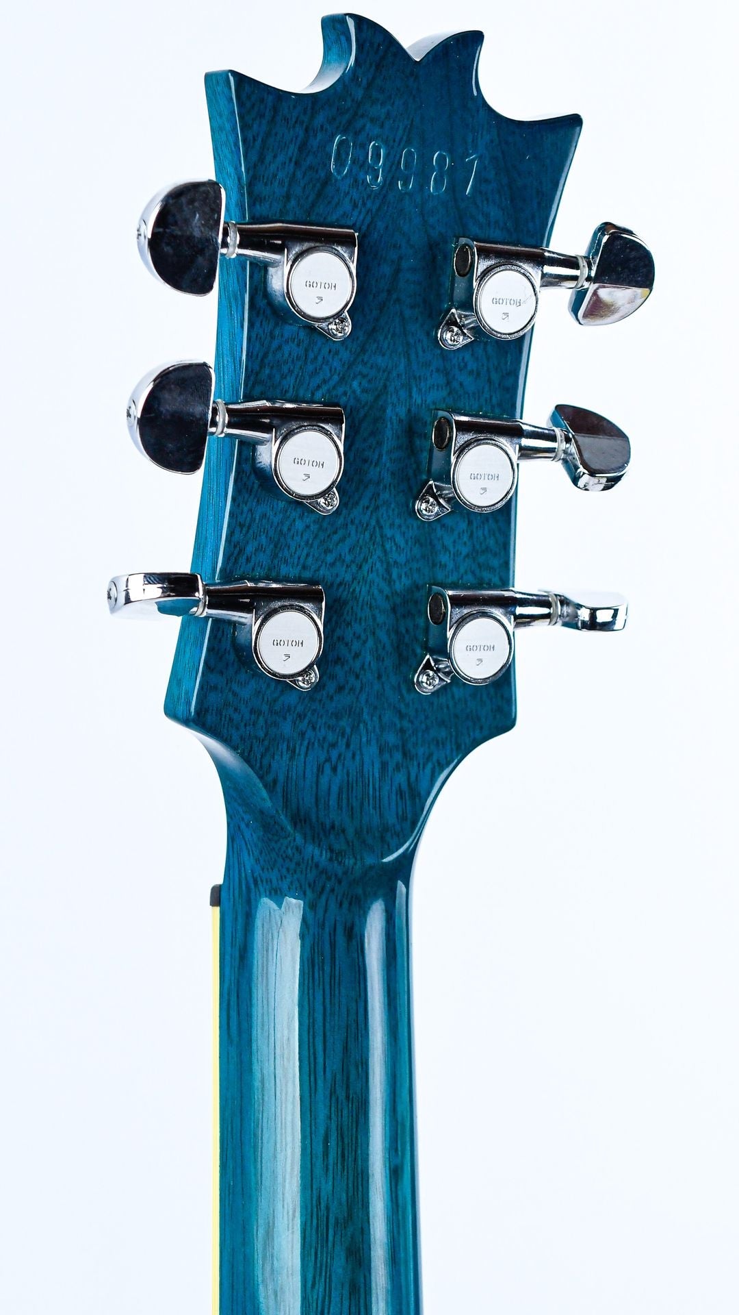 Dommenget Lizard Hybrid Blueburst 1998