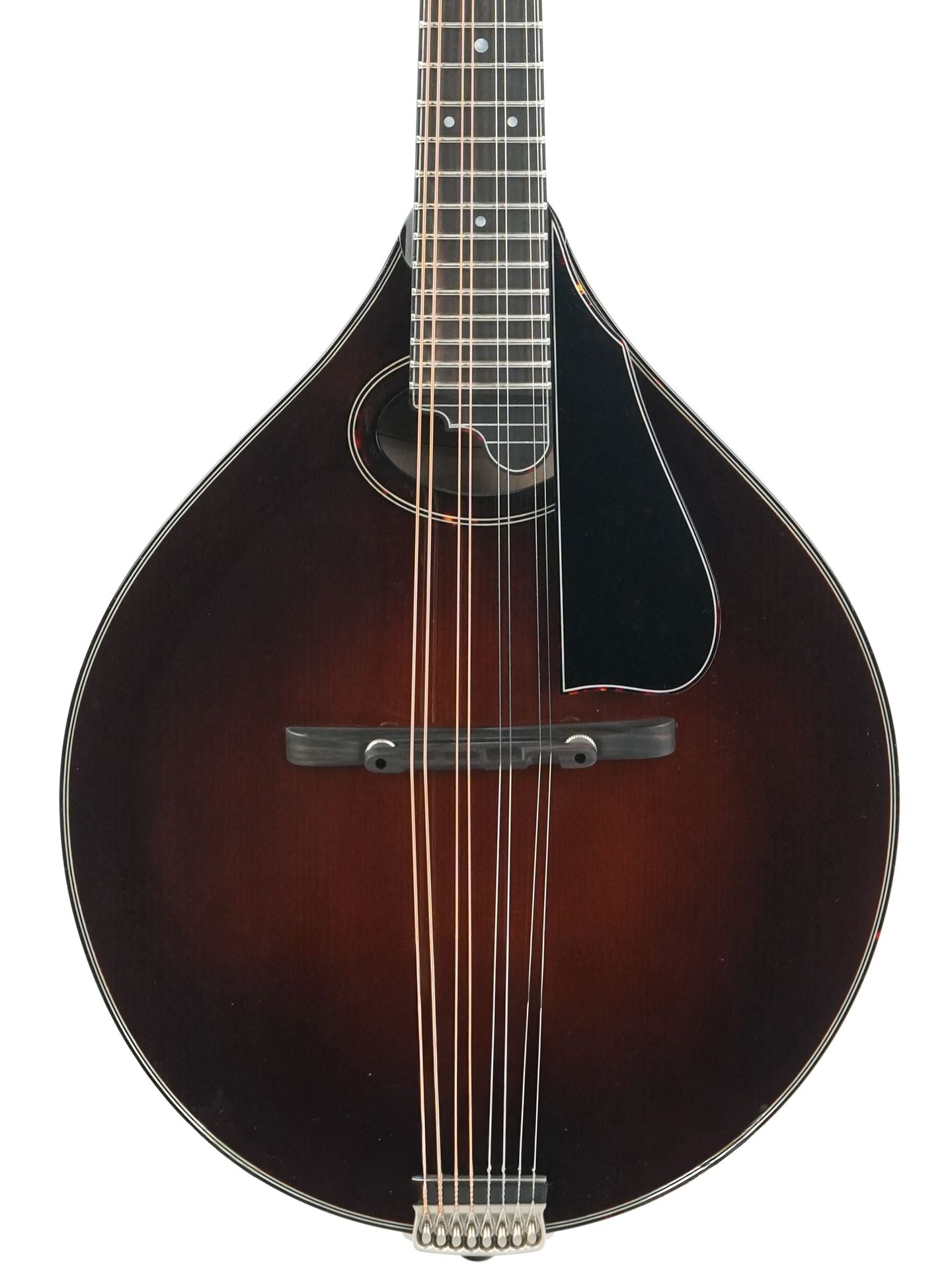 Northfield NFMSP A4 Special Alpine Spruce Icelandic Brown