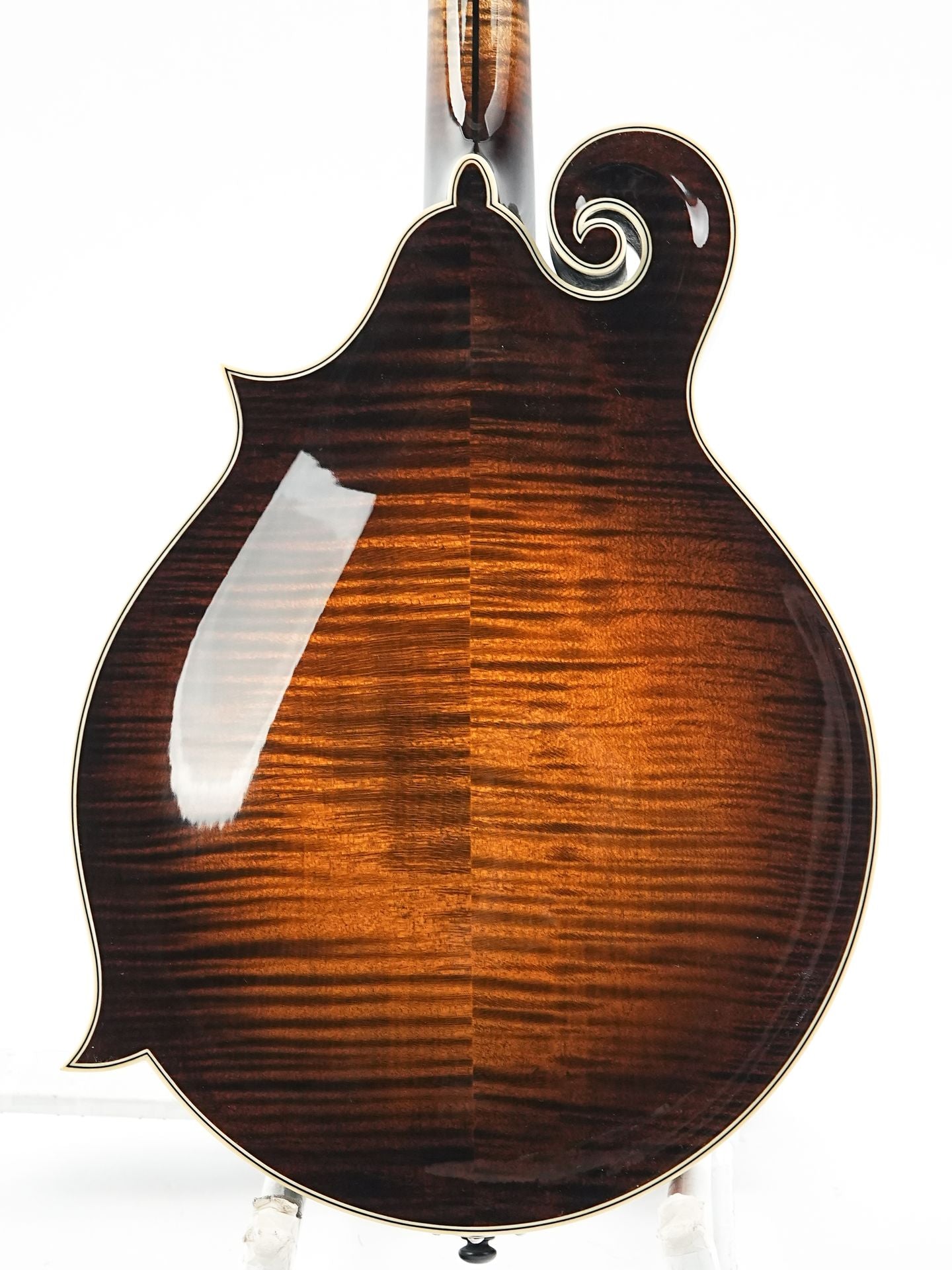 Northfield NFAF51I Italian Spruce Maple