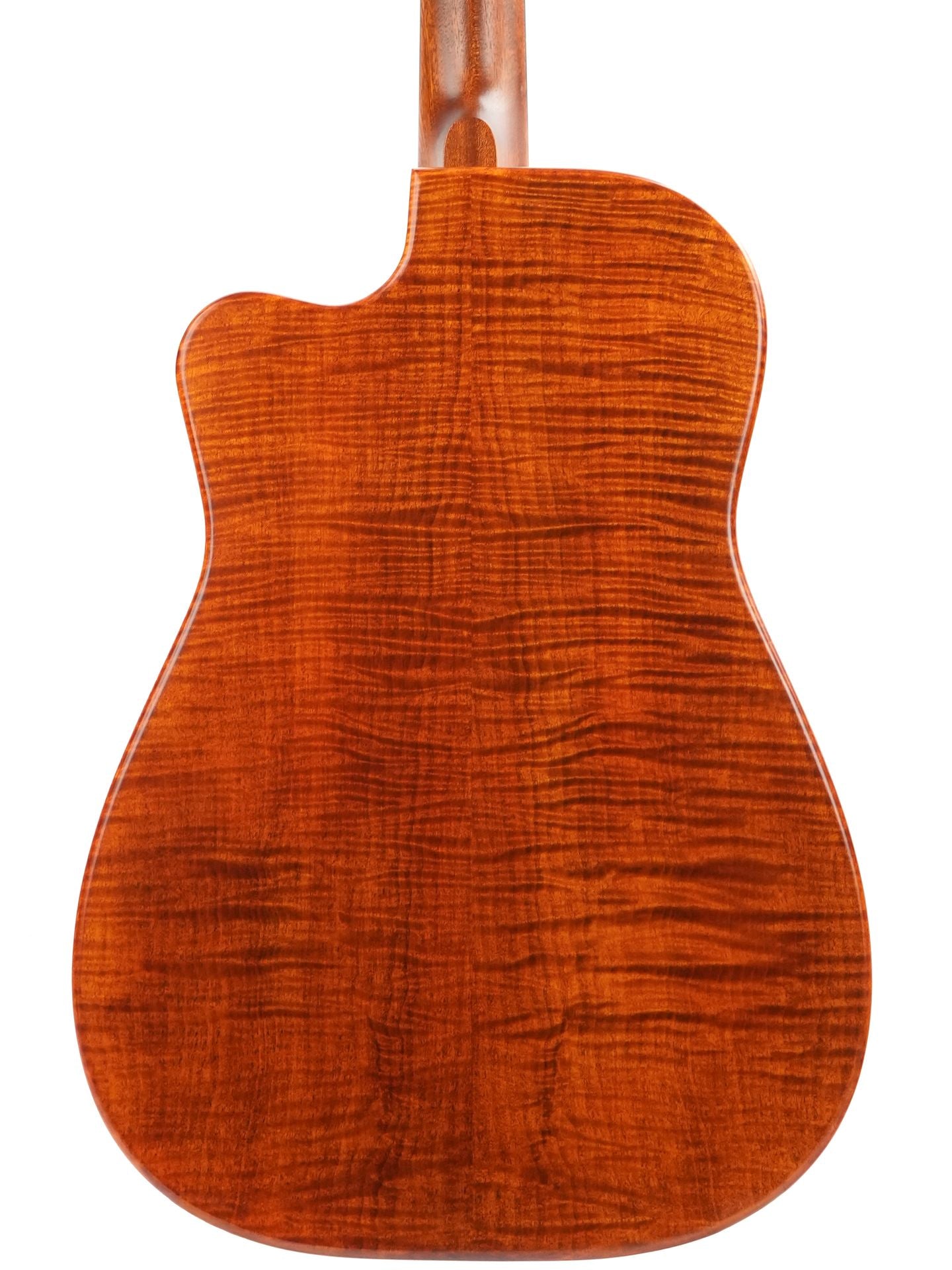 Beard Trailhead E RN Curly Maple #1988-25