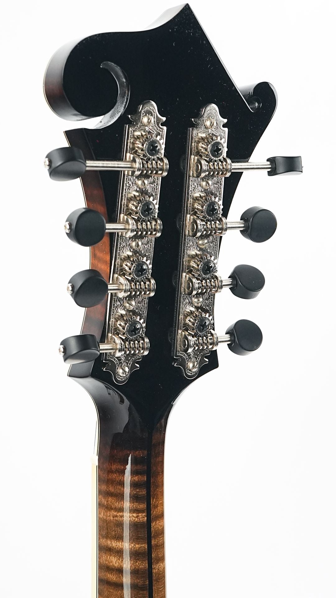 Northfield NFAF51I Italian Spruce Maple