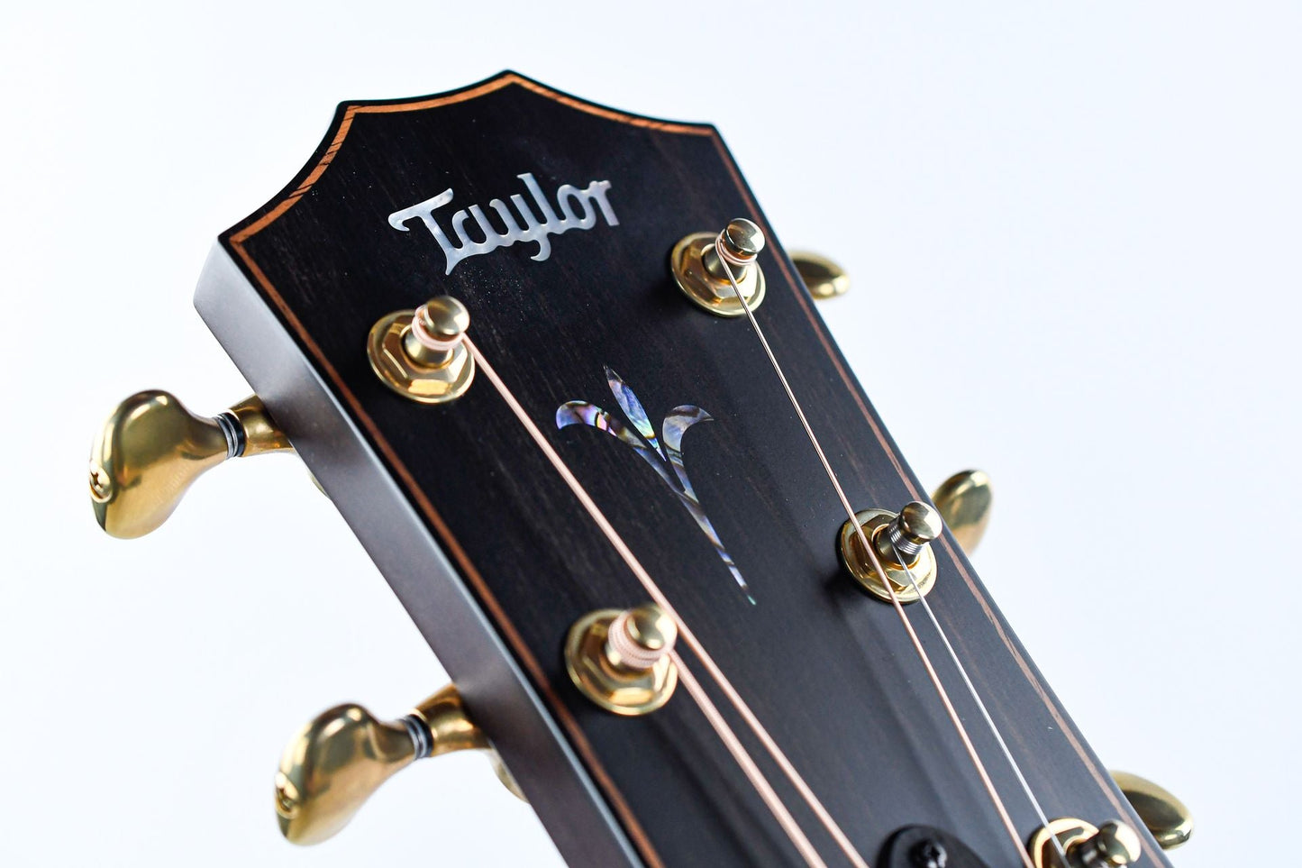 Taylor K24ce Builder's Edition