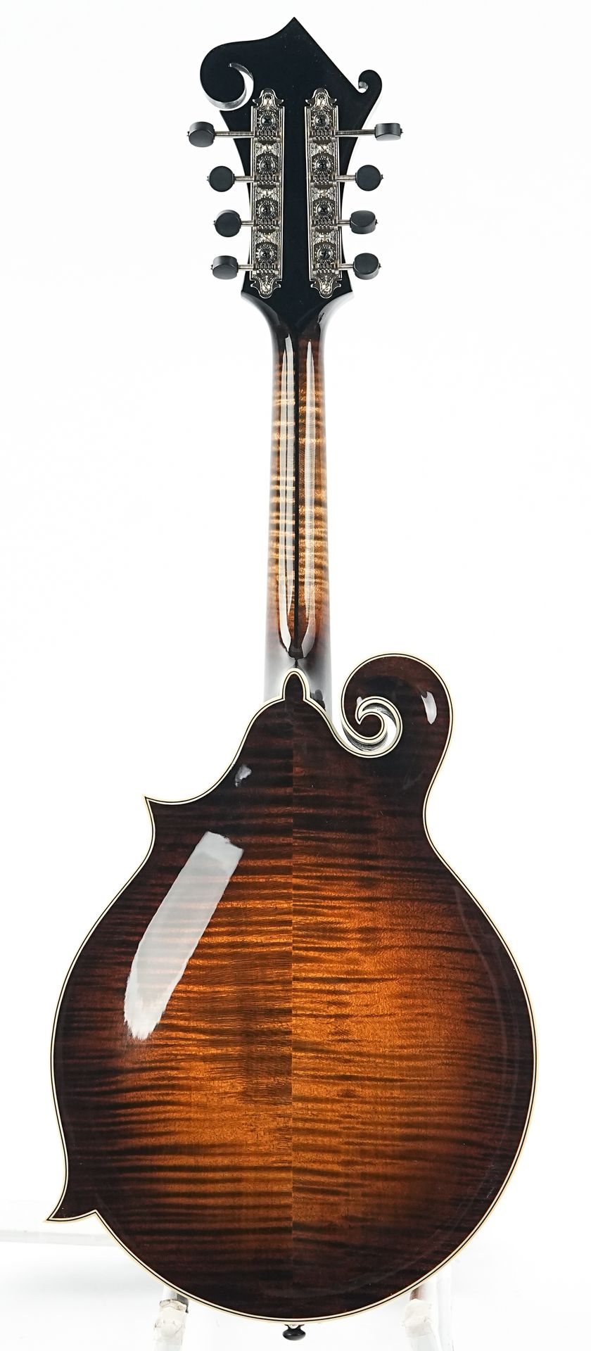 Northfield NFAF51I Italian Spruce Maple