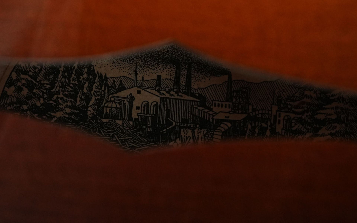 Collings MT2 Mandolin