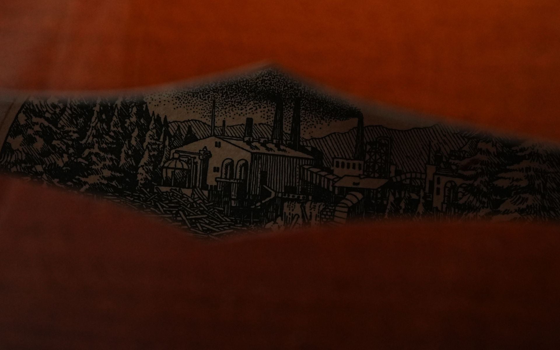 Collings MT2 Mandolin