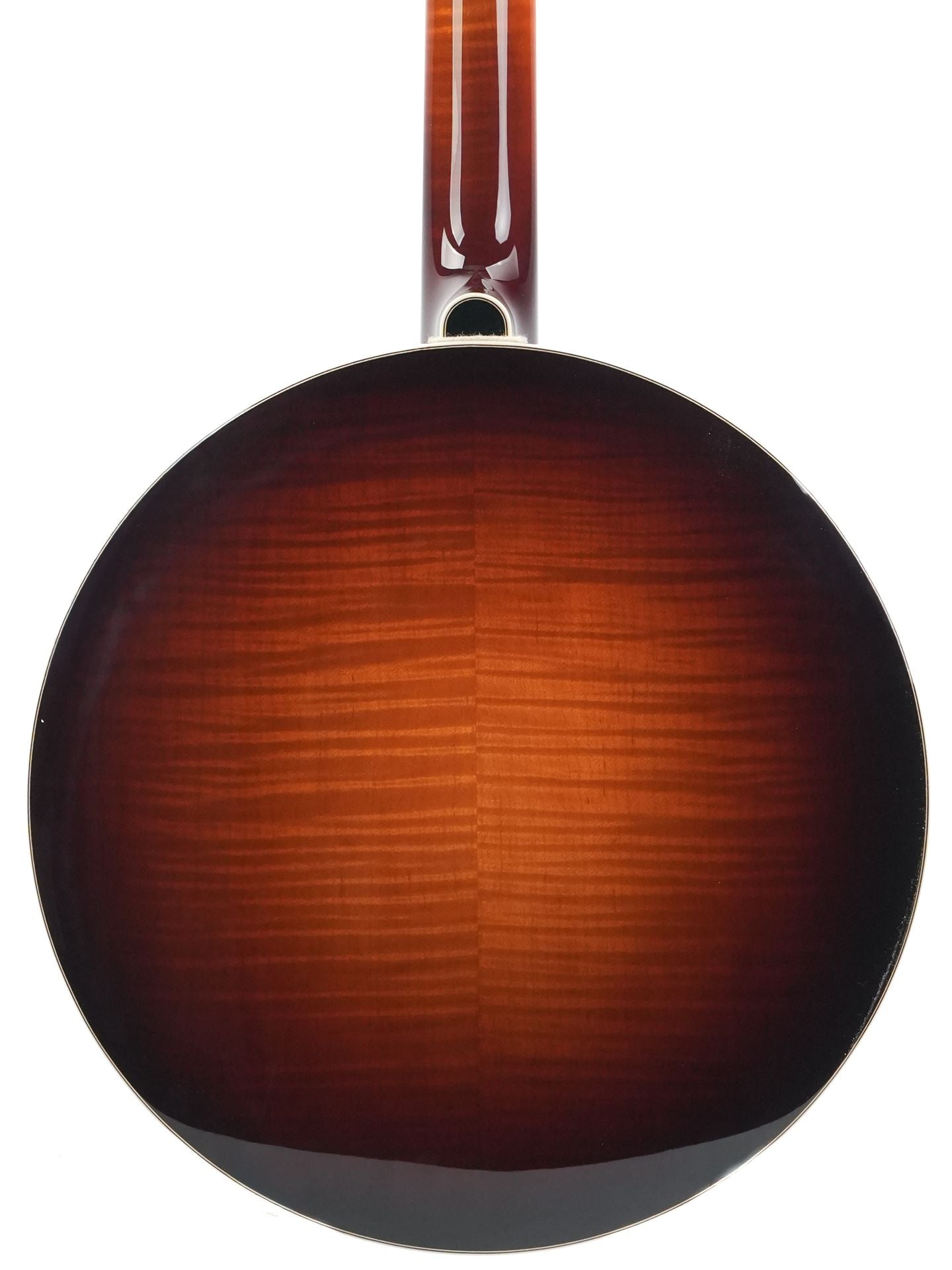Bulas Echo Valley Resonator Banjo