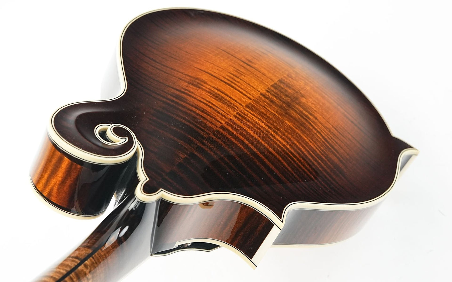 Northfield NFAF51I Italian Spruce Maple
