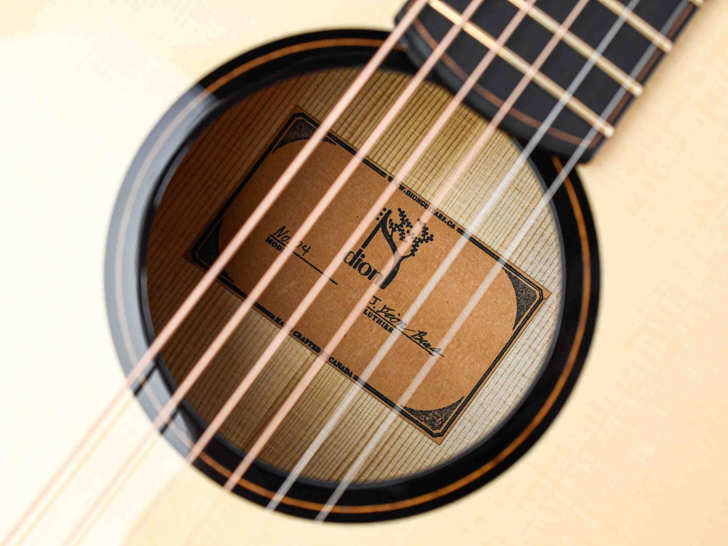 Dion Guitars No. 4 Italian Spruce Cocobolo