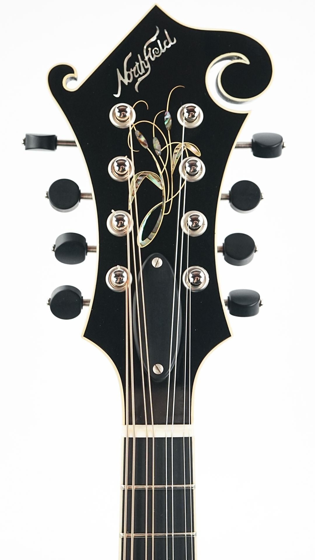 Northfield NFAF51I Italian Spruce Maple