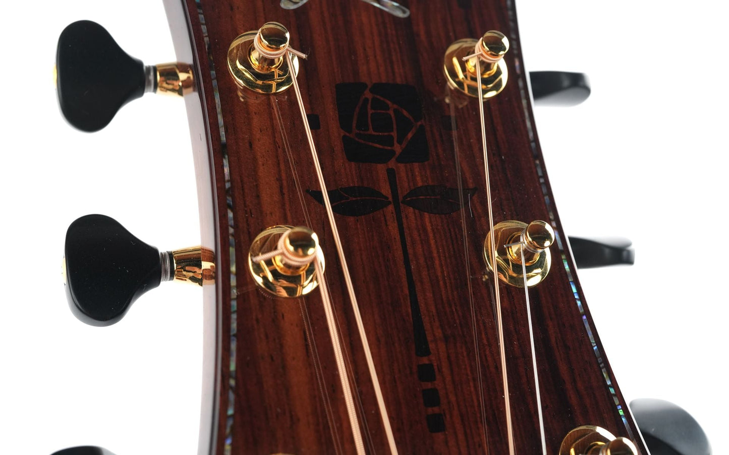 Kevin Ryan Nightingale Cocobolo Glacier Sitka Spruce 25th Anniversary
