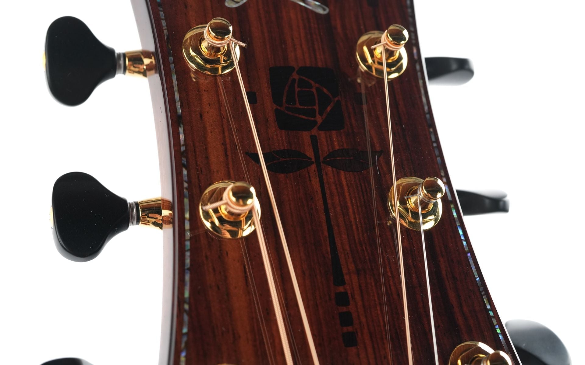 Kevin Ryan Nightingale Cocobolo Glacier Sitka Spruce 25th Anniversary