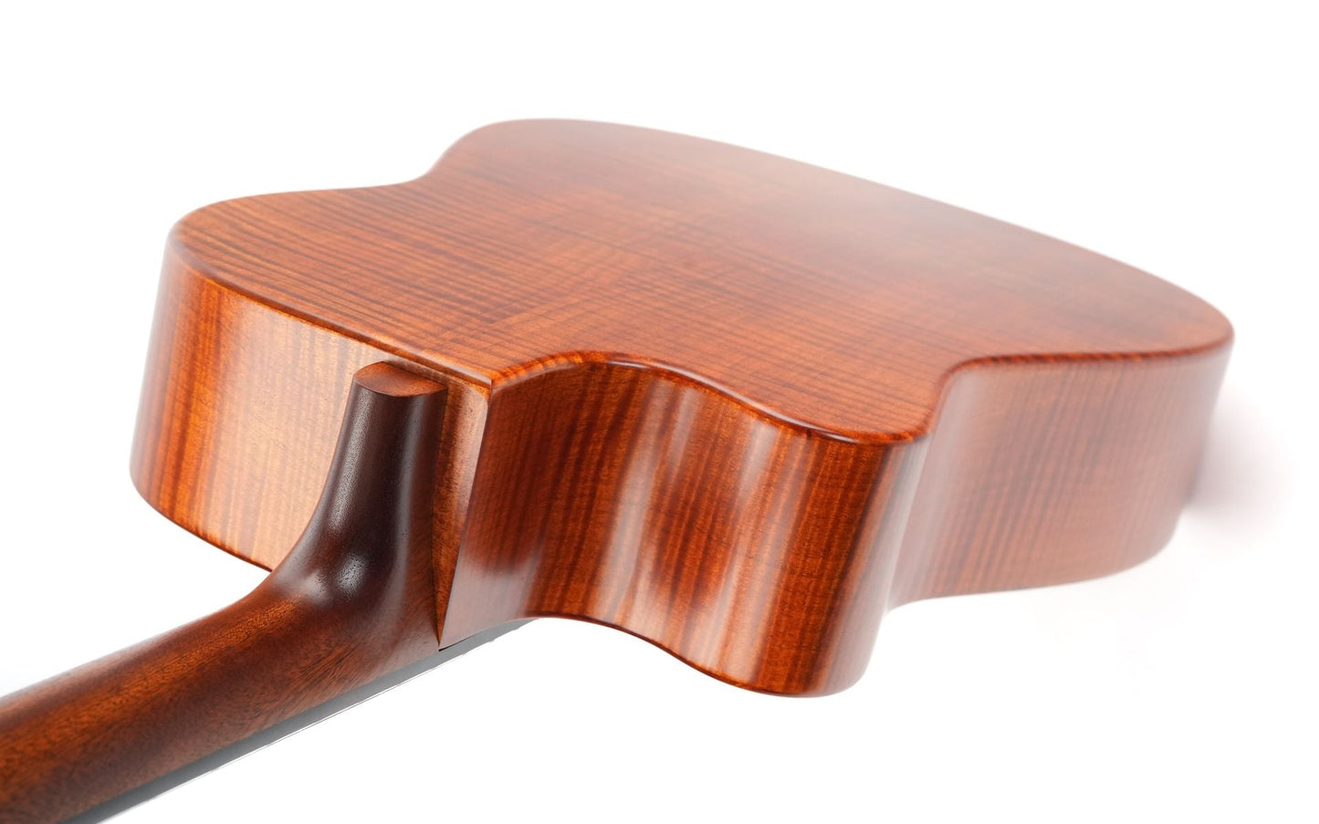 Beard Trailhead E RN Curly Maple #1988-25
