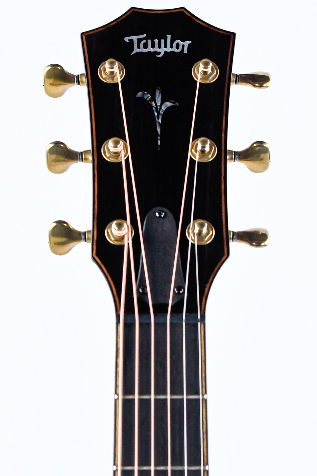 Taylor K24ce Builder's Edition