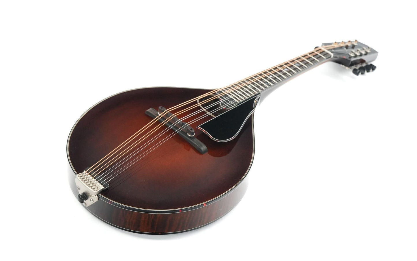 Northfield NFMSP A4 Special Alpine Spruce Icelandic Brown