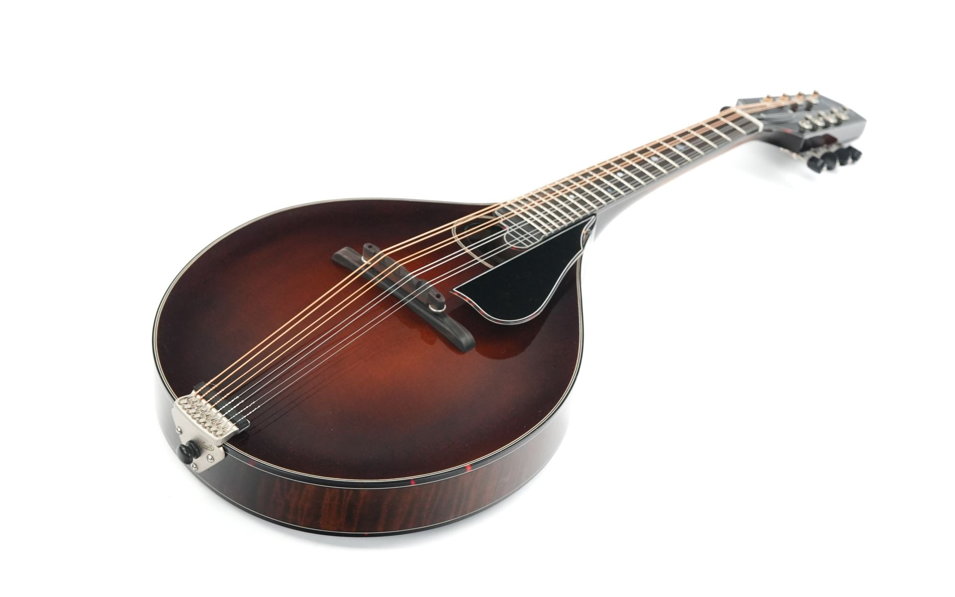 Northfield NFMSP A4 Special Alpine Spruce Icelandic Brown