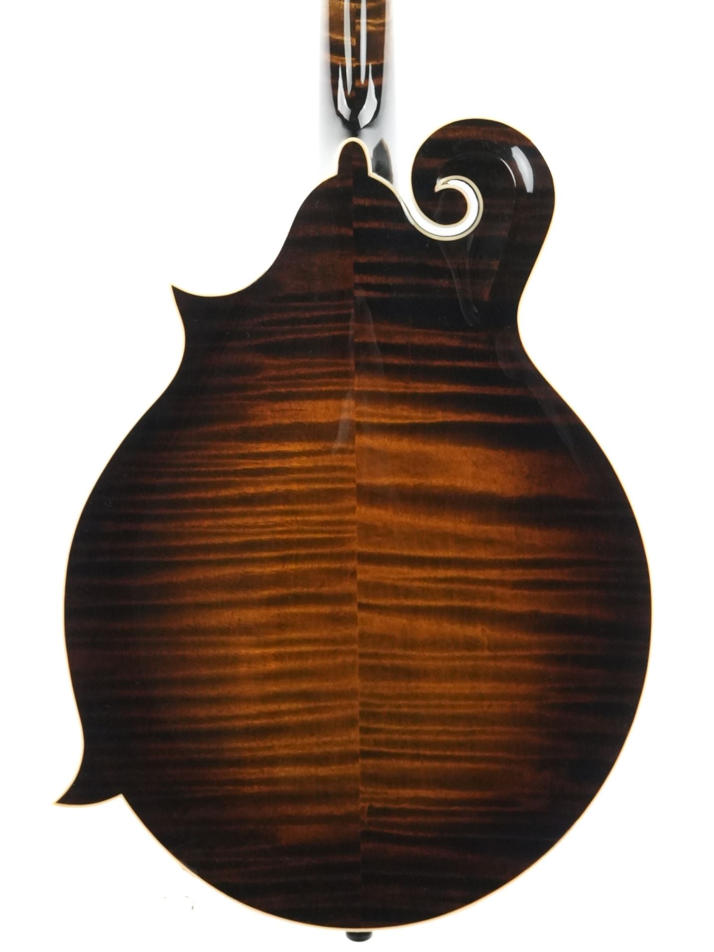 Northfield NFB F5A Big Mon Adirondack Standard Sunburst
