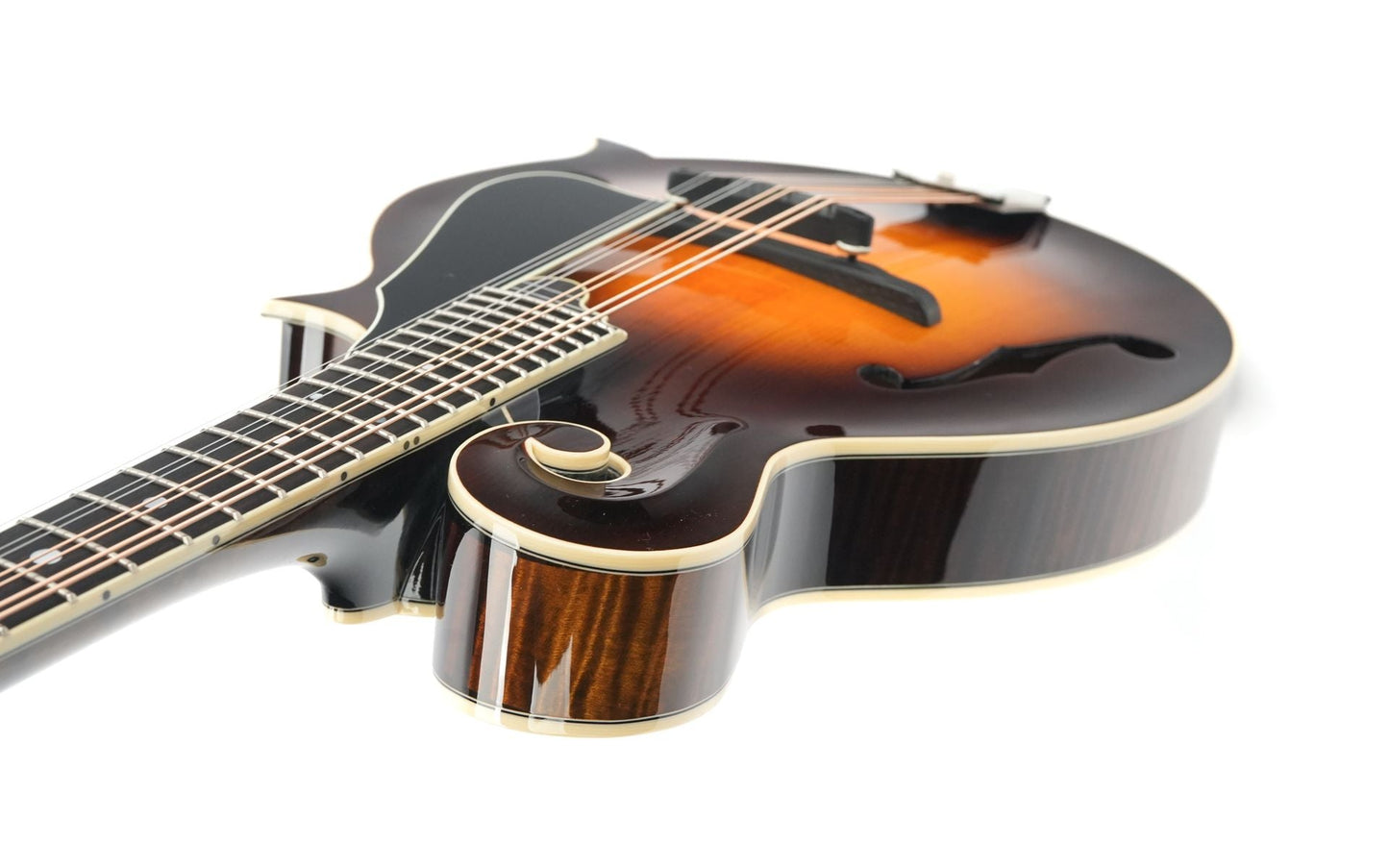 Northfield NFB F5A Big Mon Adirondack Standard Sunburst