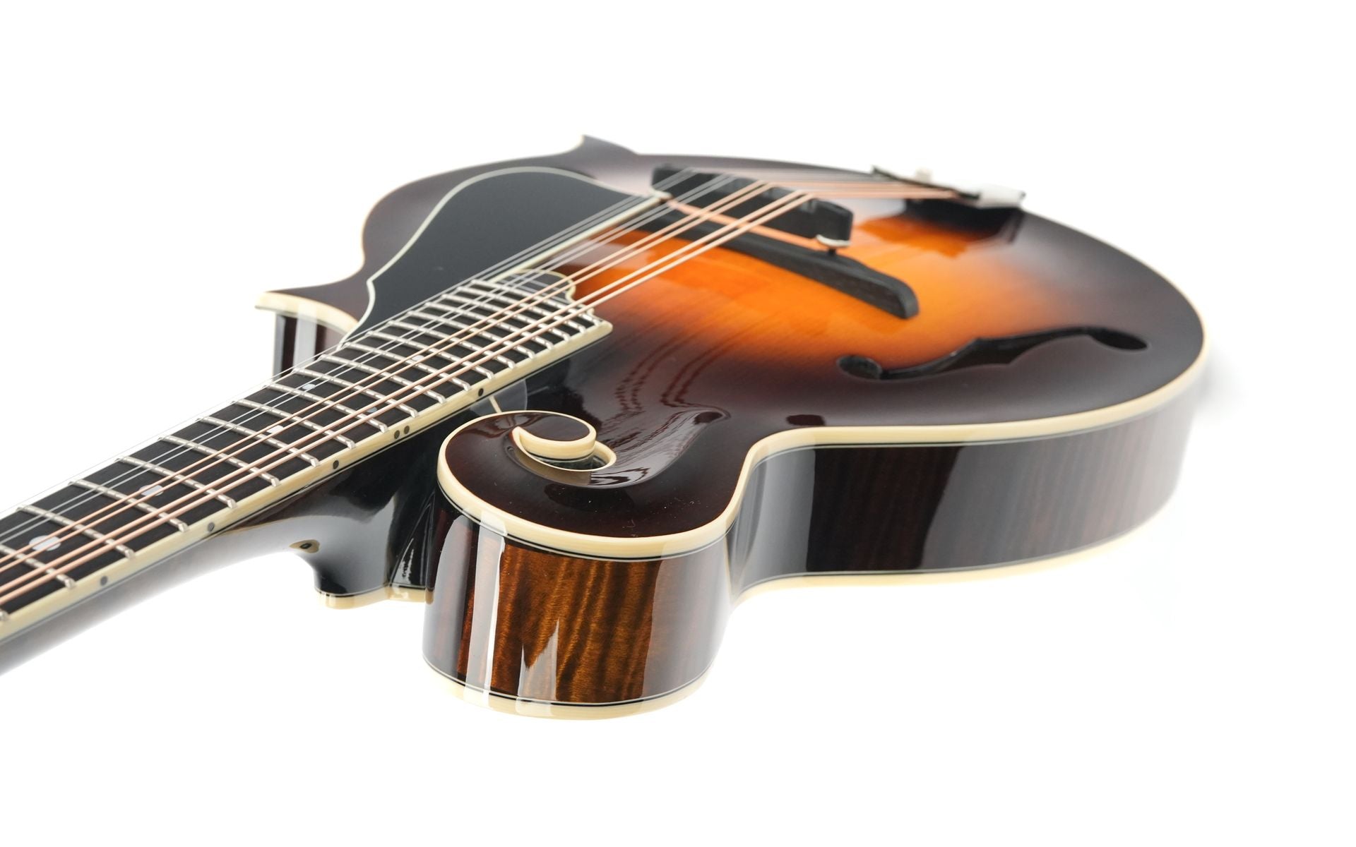 Northfield NFB F5A Big Mon Adirondack Standard Sunburst