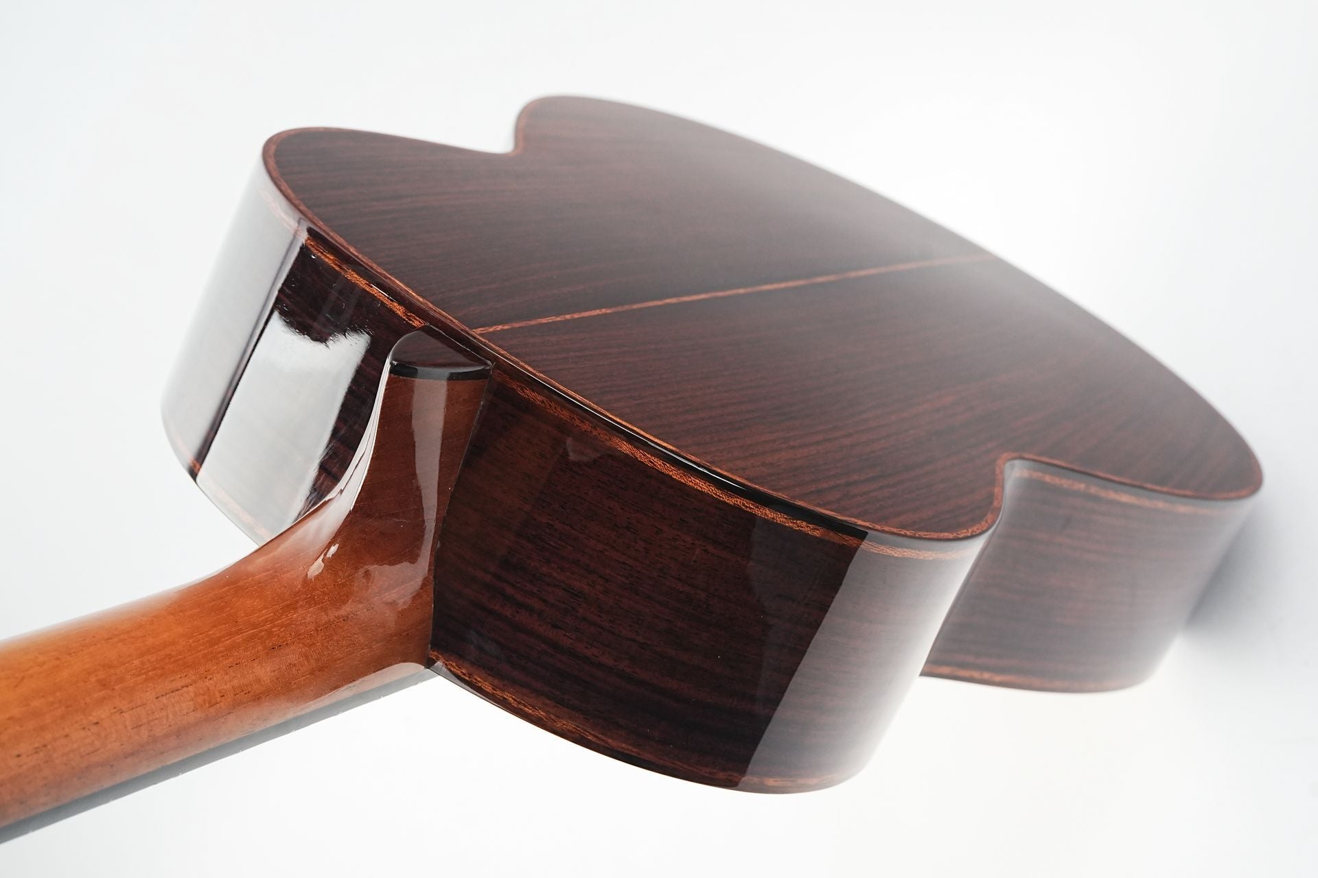 Mach Concert Double Top Spruce Rosewood