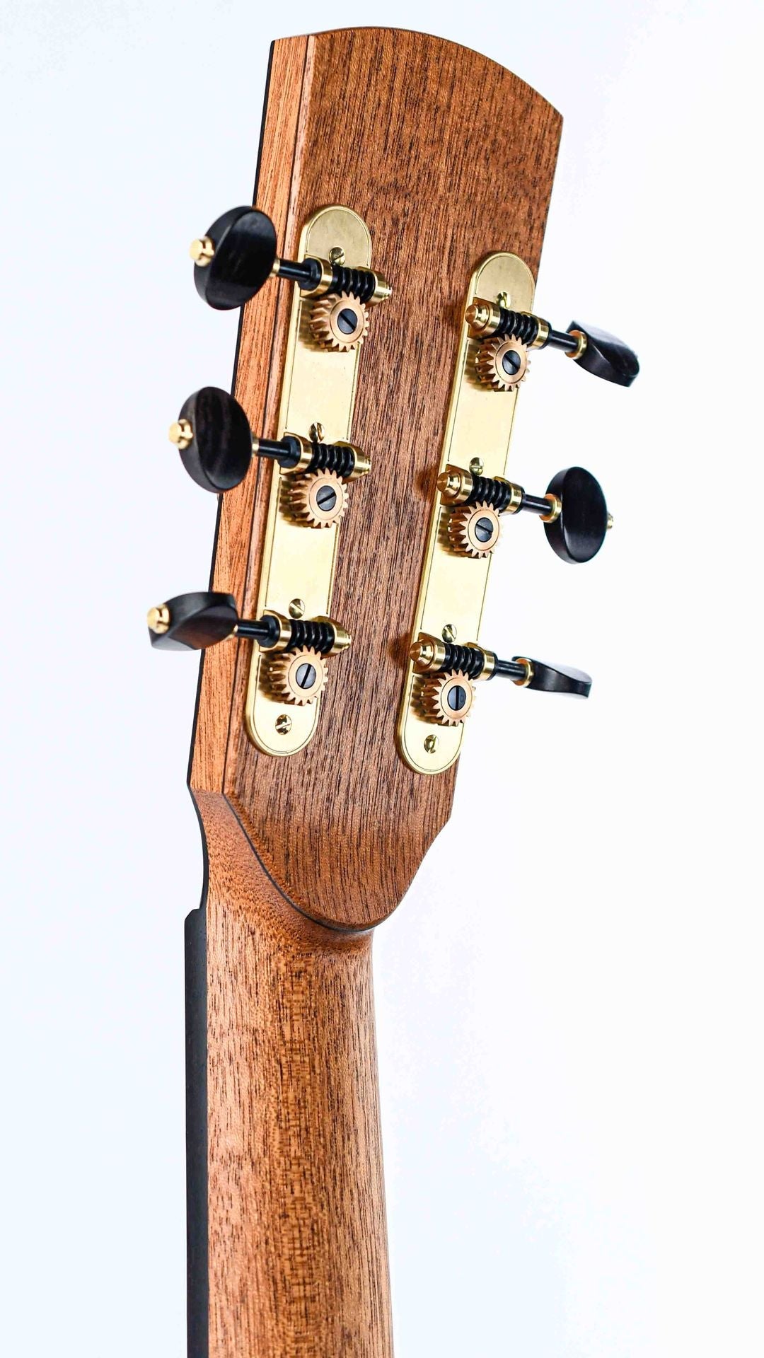 Dion Guitars No. 4 Italian Spruce Cocobolo