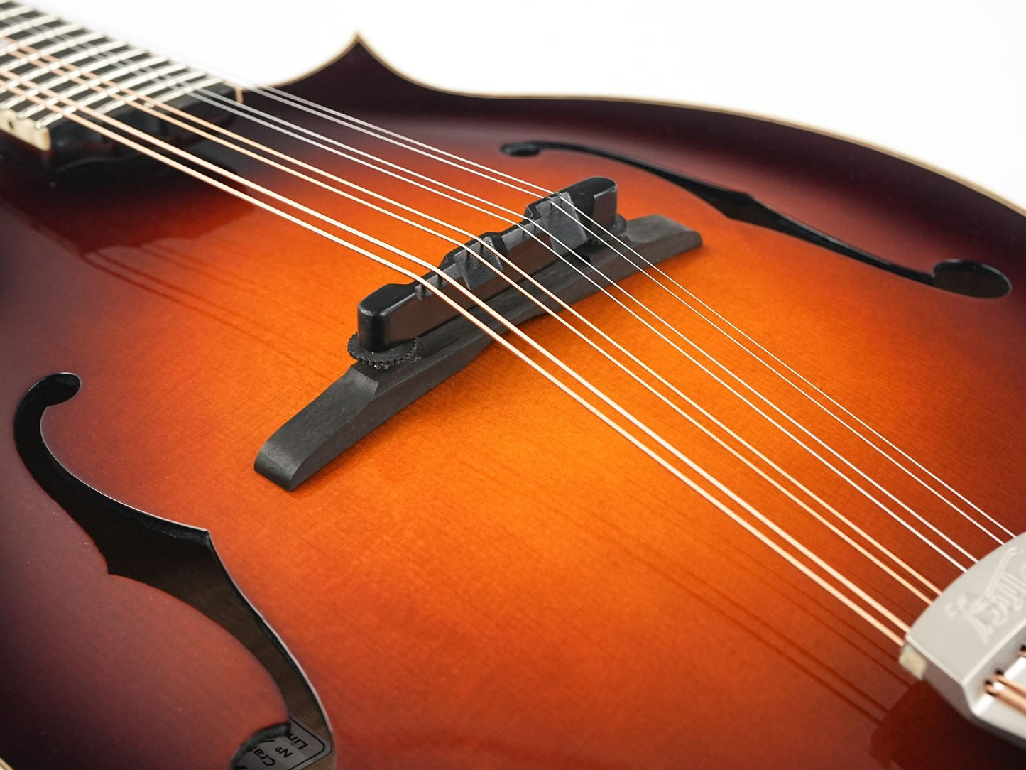 Bulas F-Style Persephone