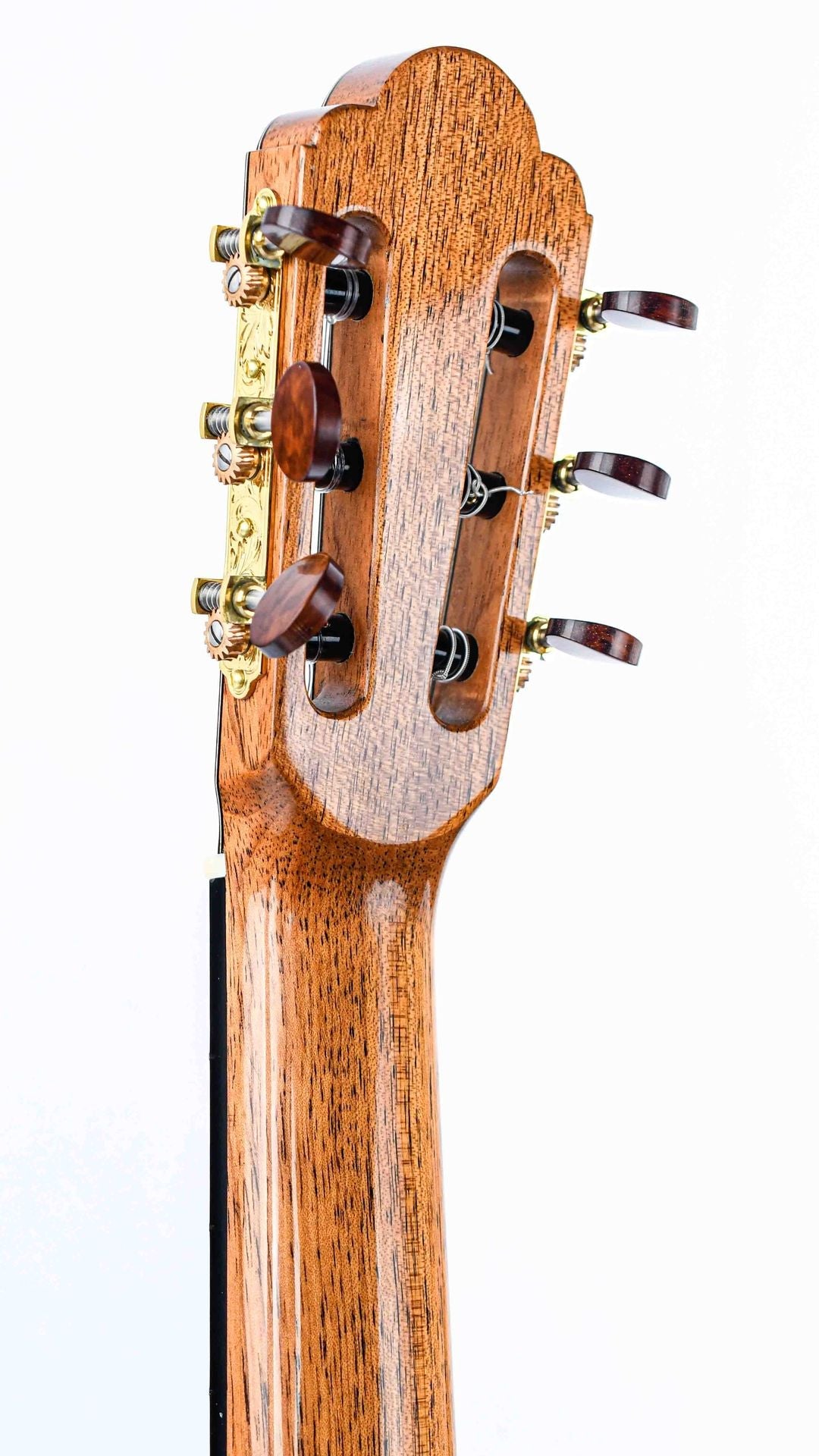 Menno Bos Torres Cocobolo Spruce 2019