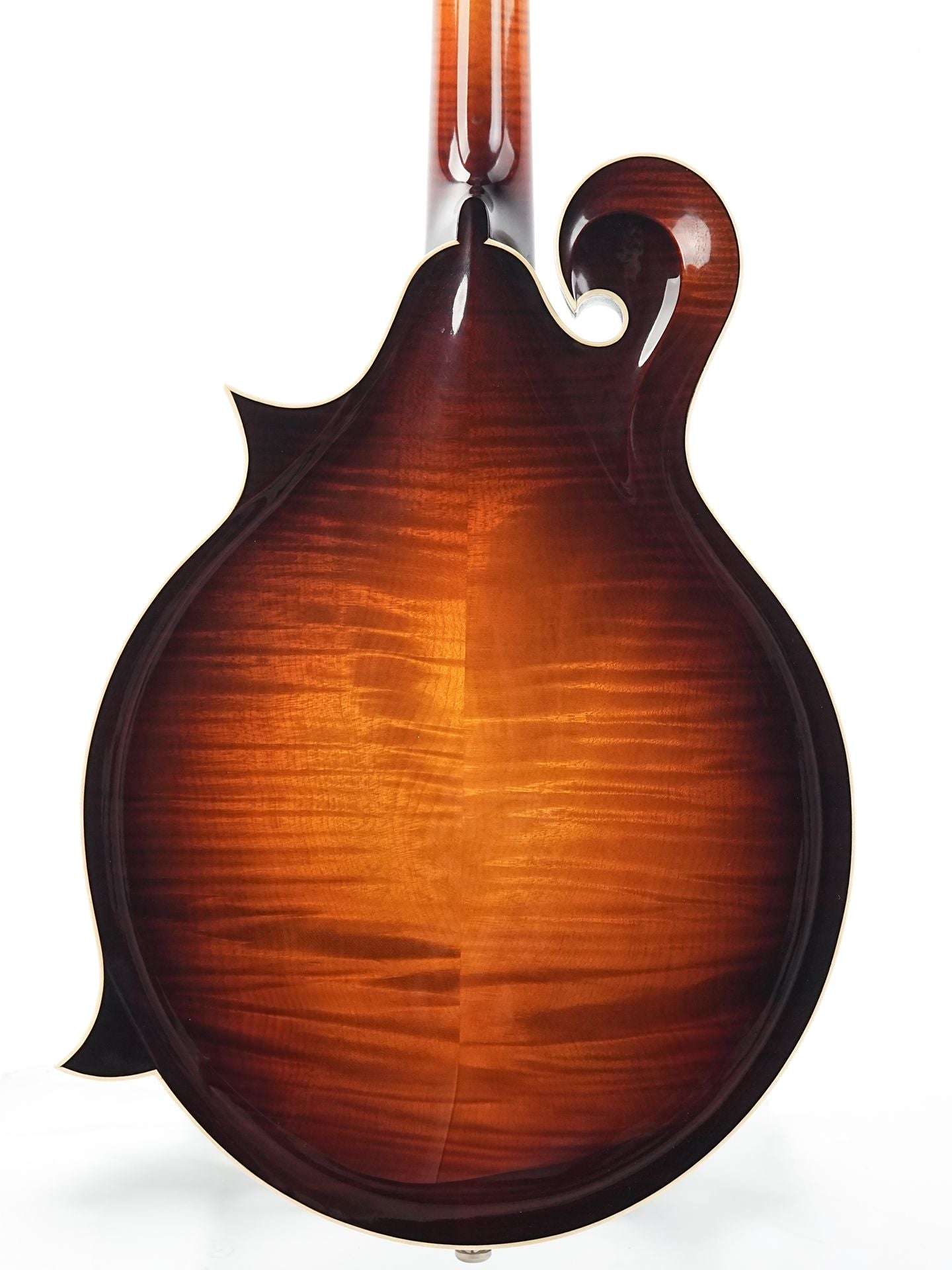 Bulas F-Style Persephone