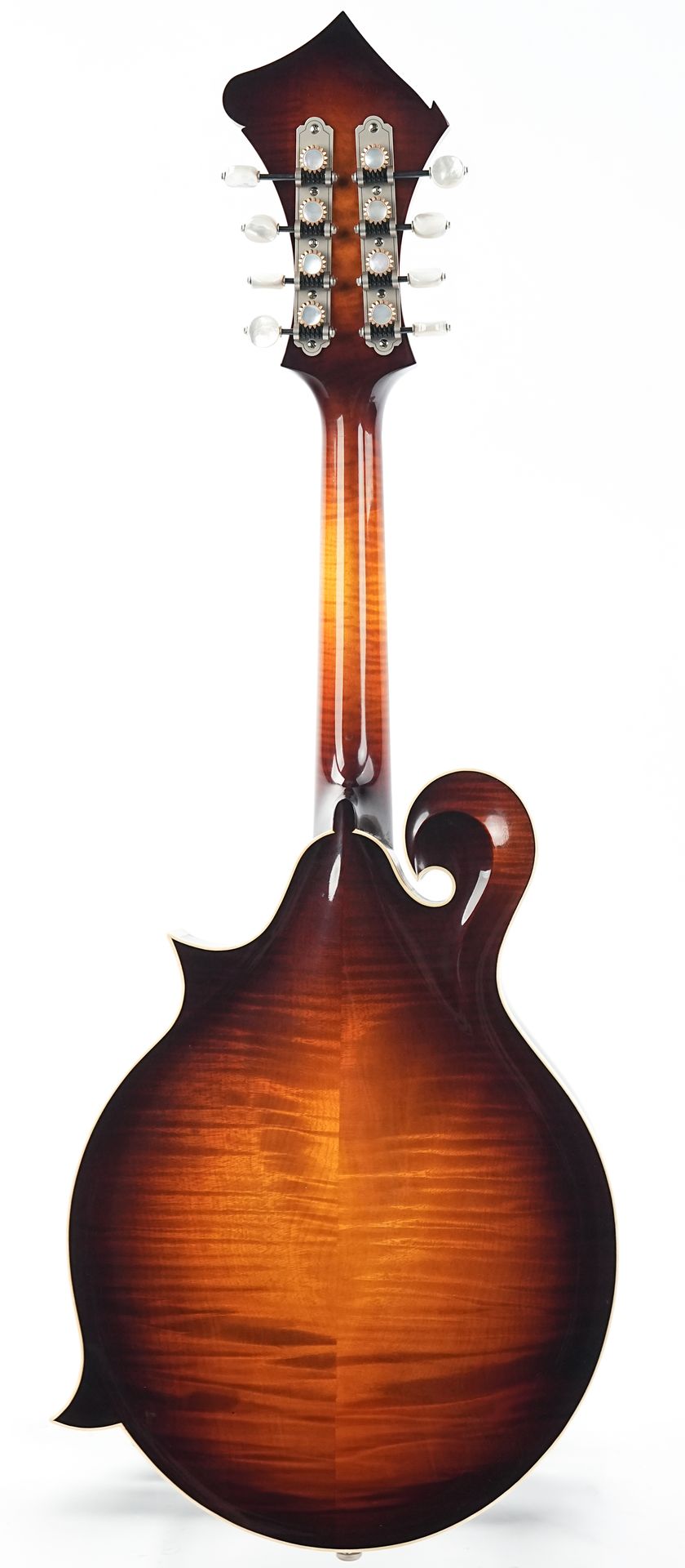 Bulas F-Style Persephone