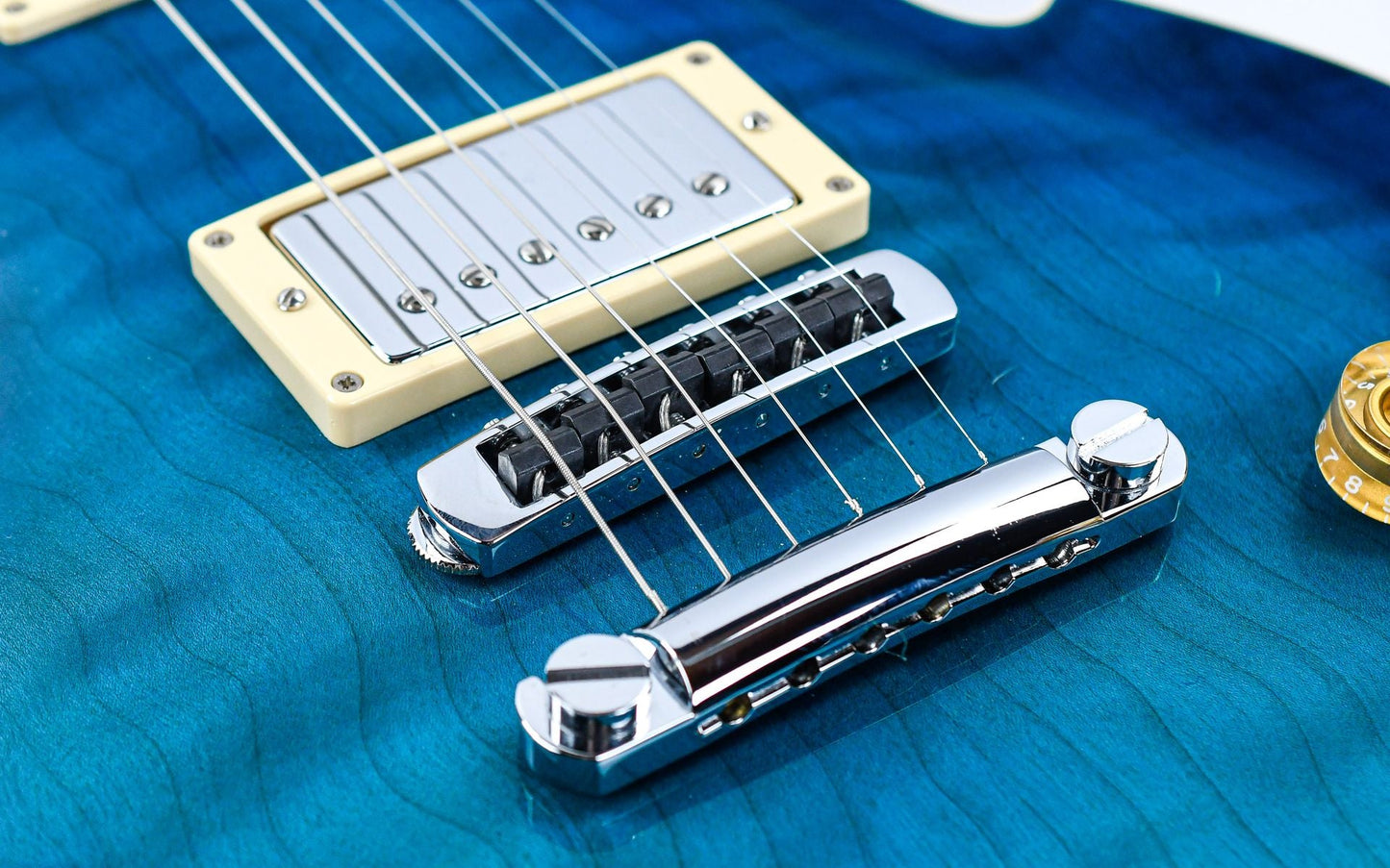 Dommenget Lizard Hybrid Blueburst 1998
