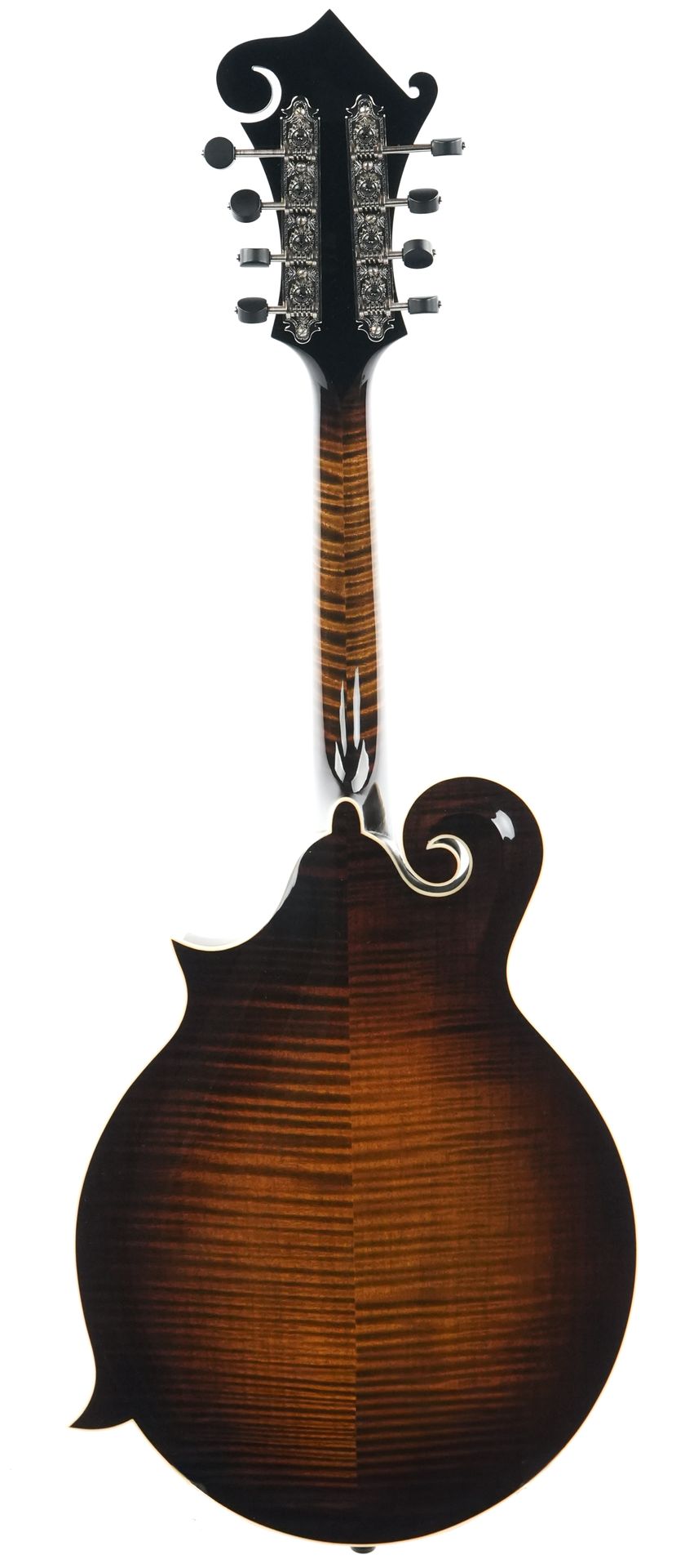 Northfield NFB F5E Big Mon Engelmann Standard Sunburst