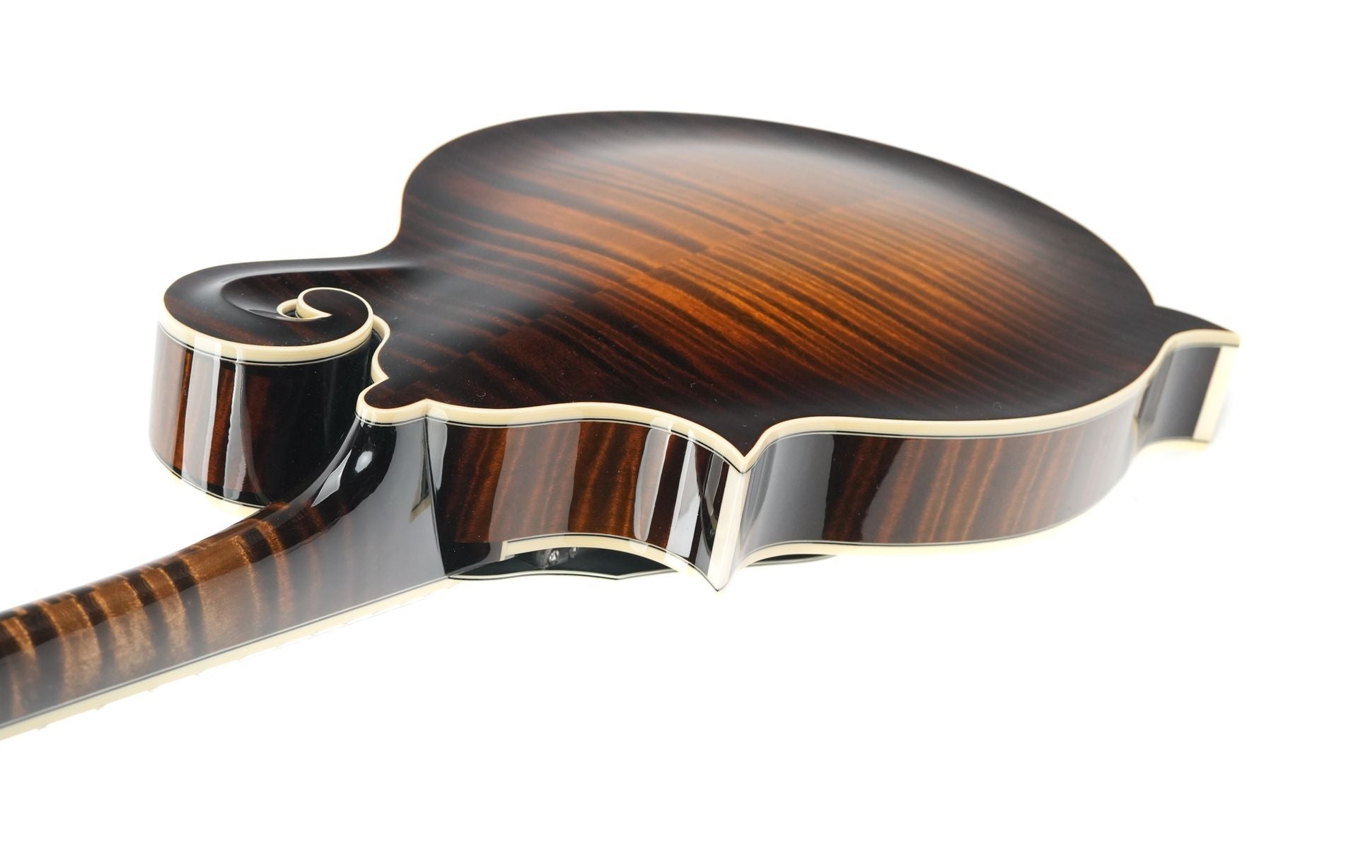 Northfield NFB F5A Big Mon Adirondack Standard Sunburst