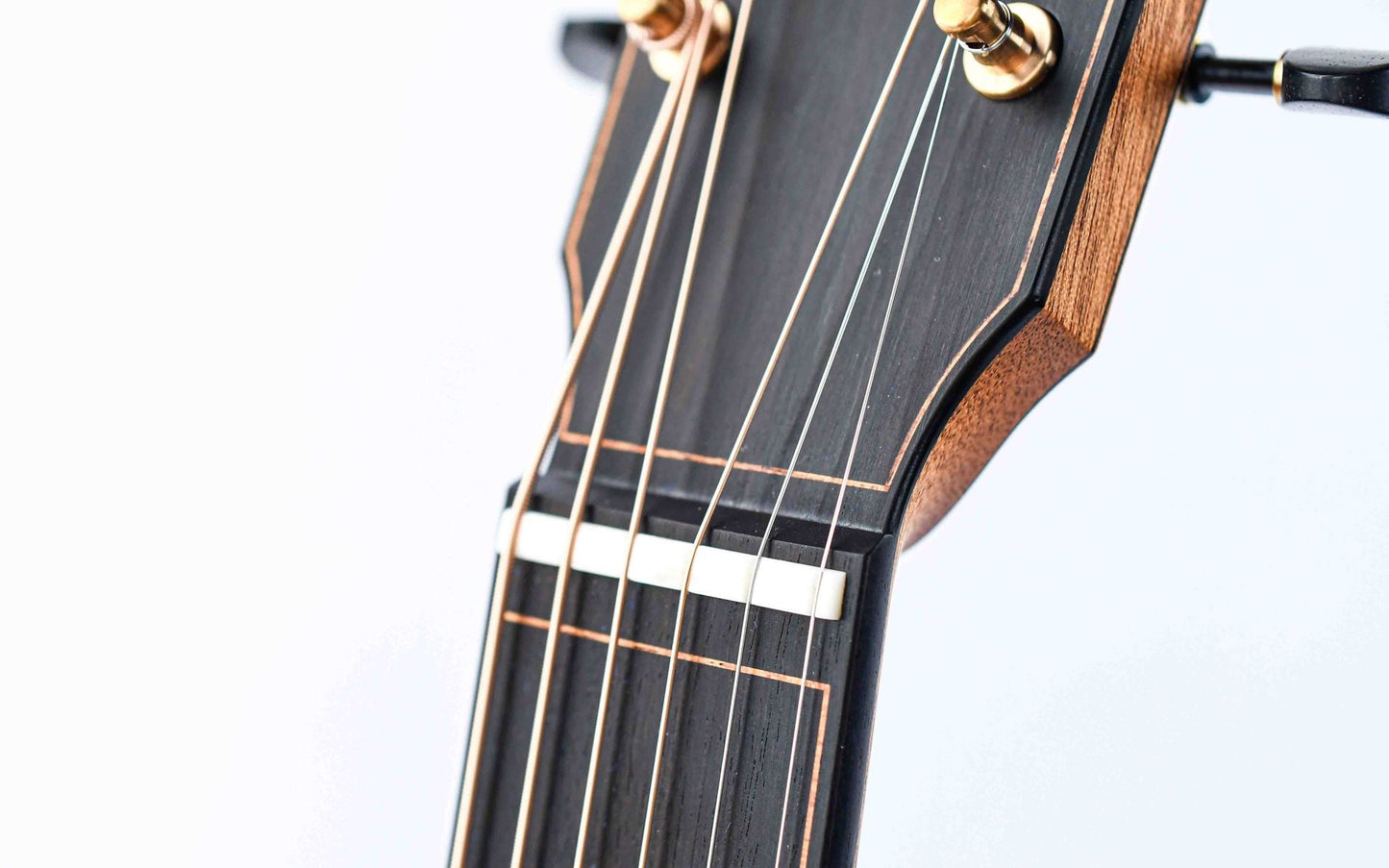 Dion Guitars No. 4 Italian Spruce Cocobolo